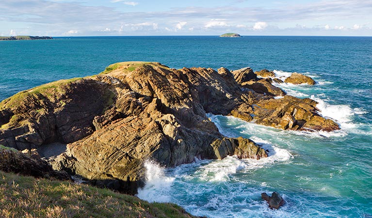 Moonee Beach Nature Reserve Logo and Images
