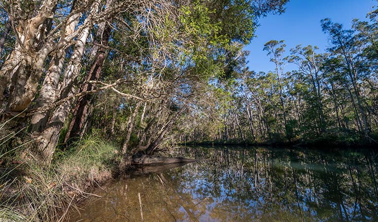 Queens Lake Nature Reserve Logo and Images