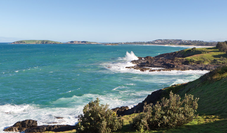 Coffs Coast Regional Park Logo and Images