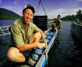 Armstrong Oysters Logo and Images