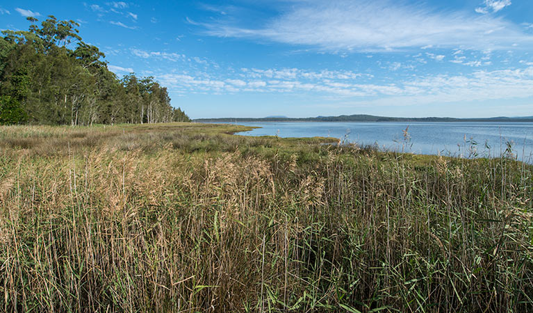 Lake Innes Nature Reserve Logo and Images