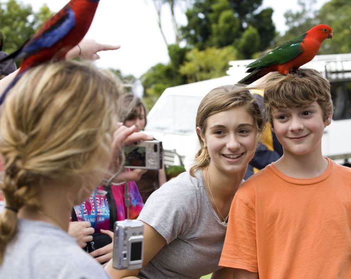 Southern Cross Day Tours Gold Coast Logo and Images