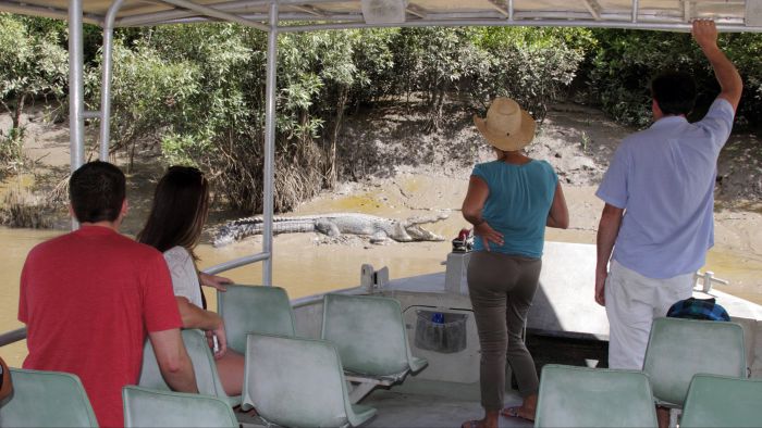 Whitsunday Crocodile Safari Logo and Images