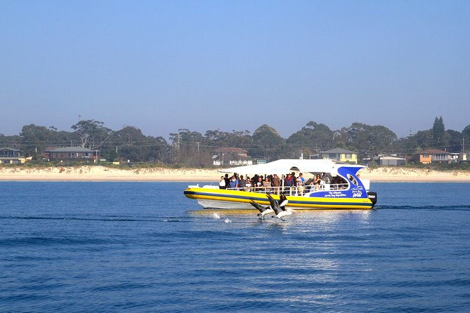 Jervis Bay Passage Tour Logo and Images