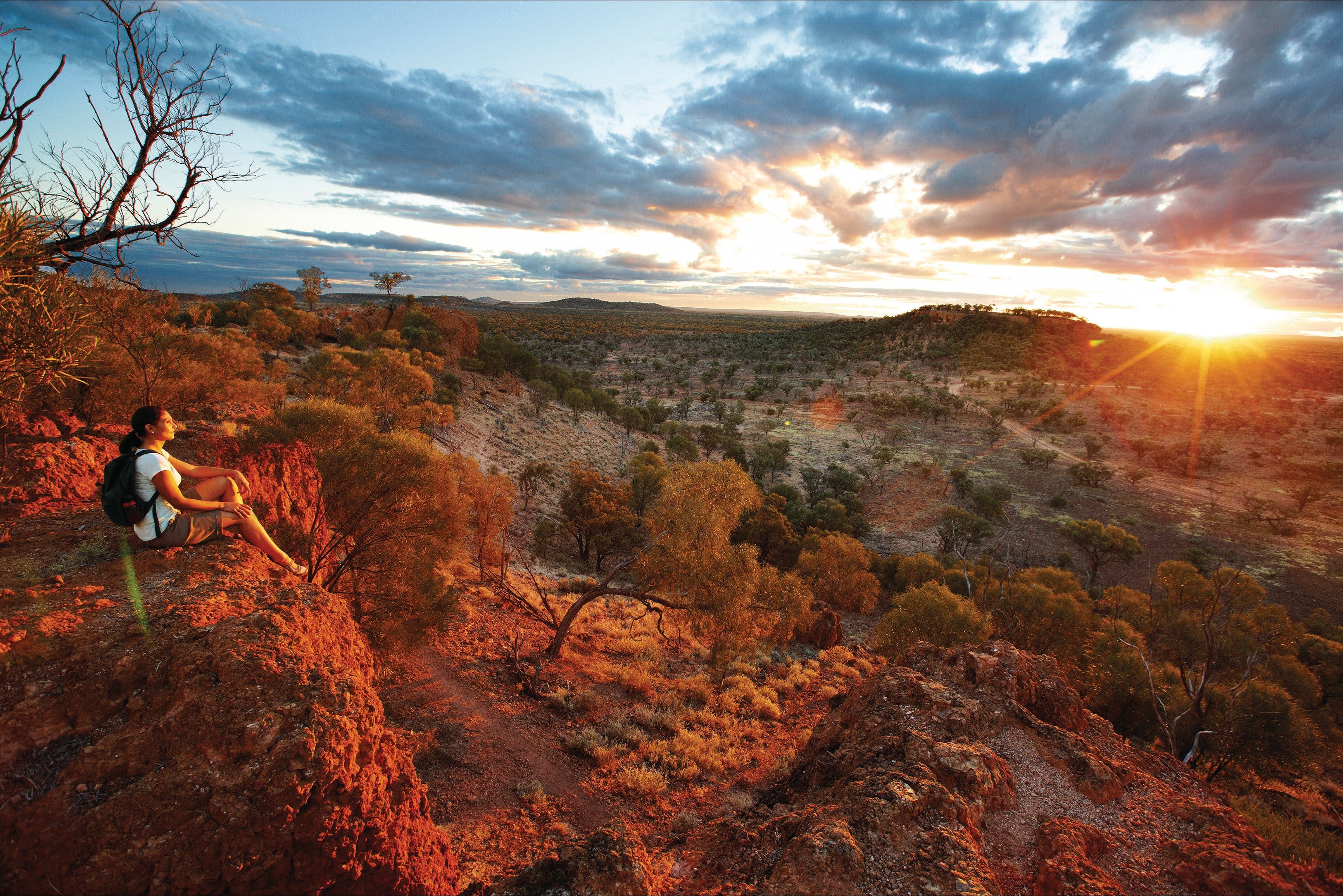 Baldy Top Lookout Logo and Images