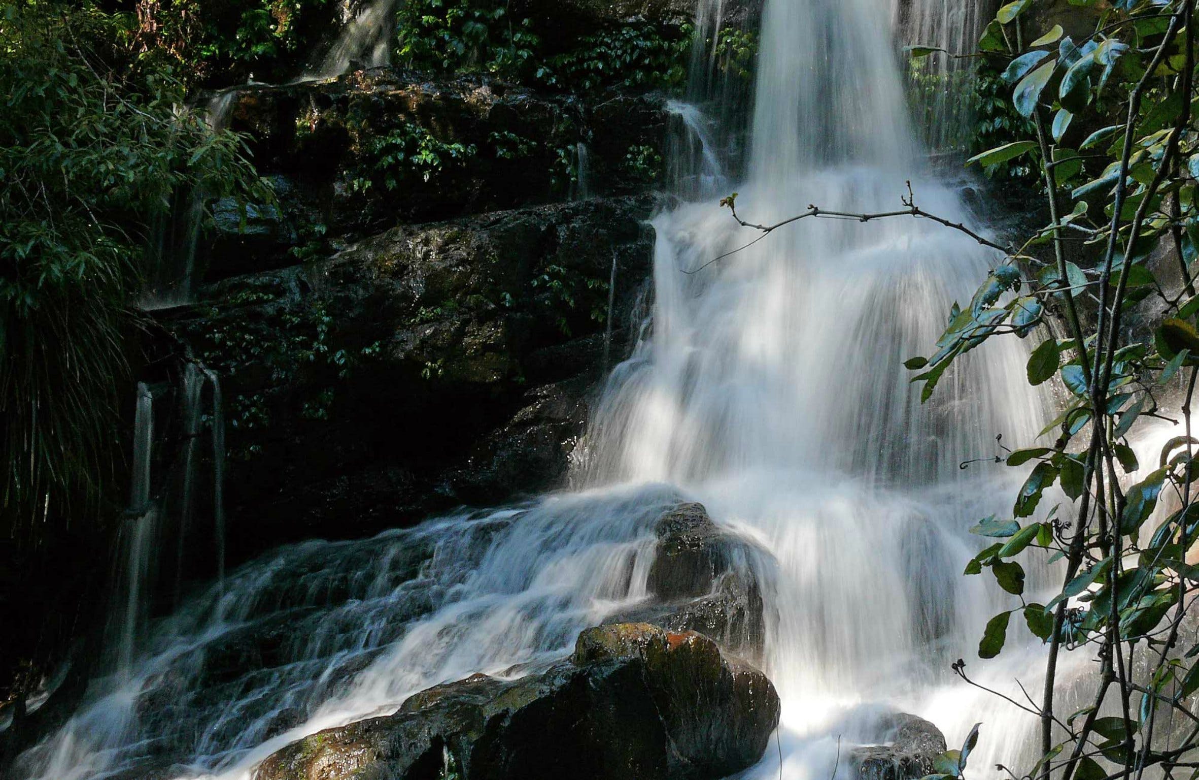 Bangalore Falls Walking Track Logo and Images