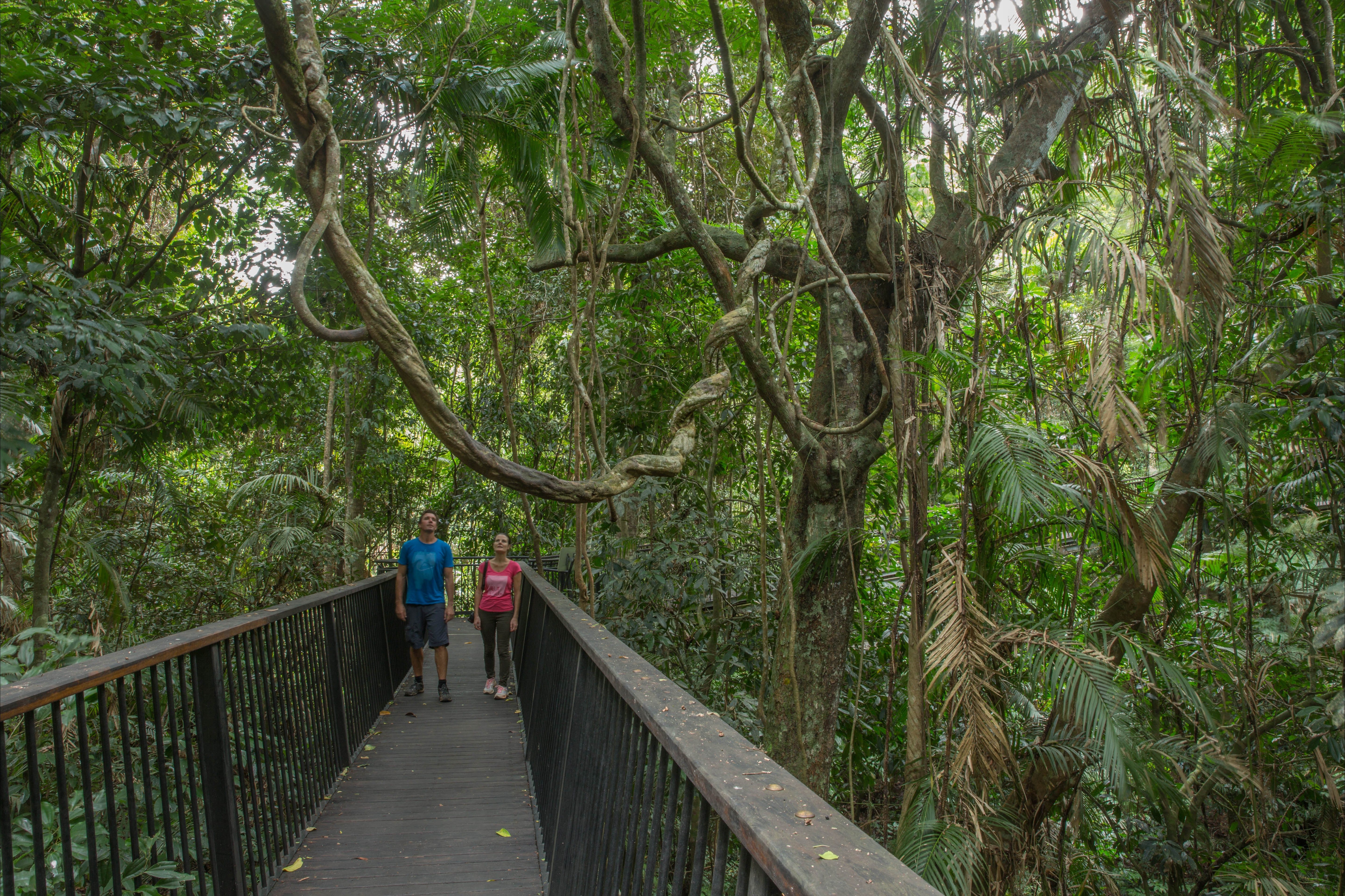 Barron Gorge National Park Logo and Images