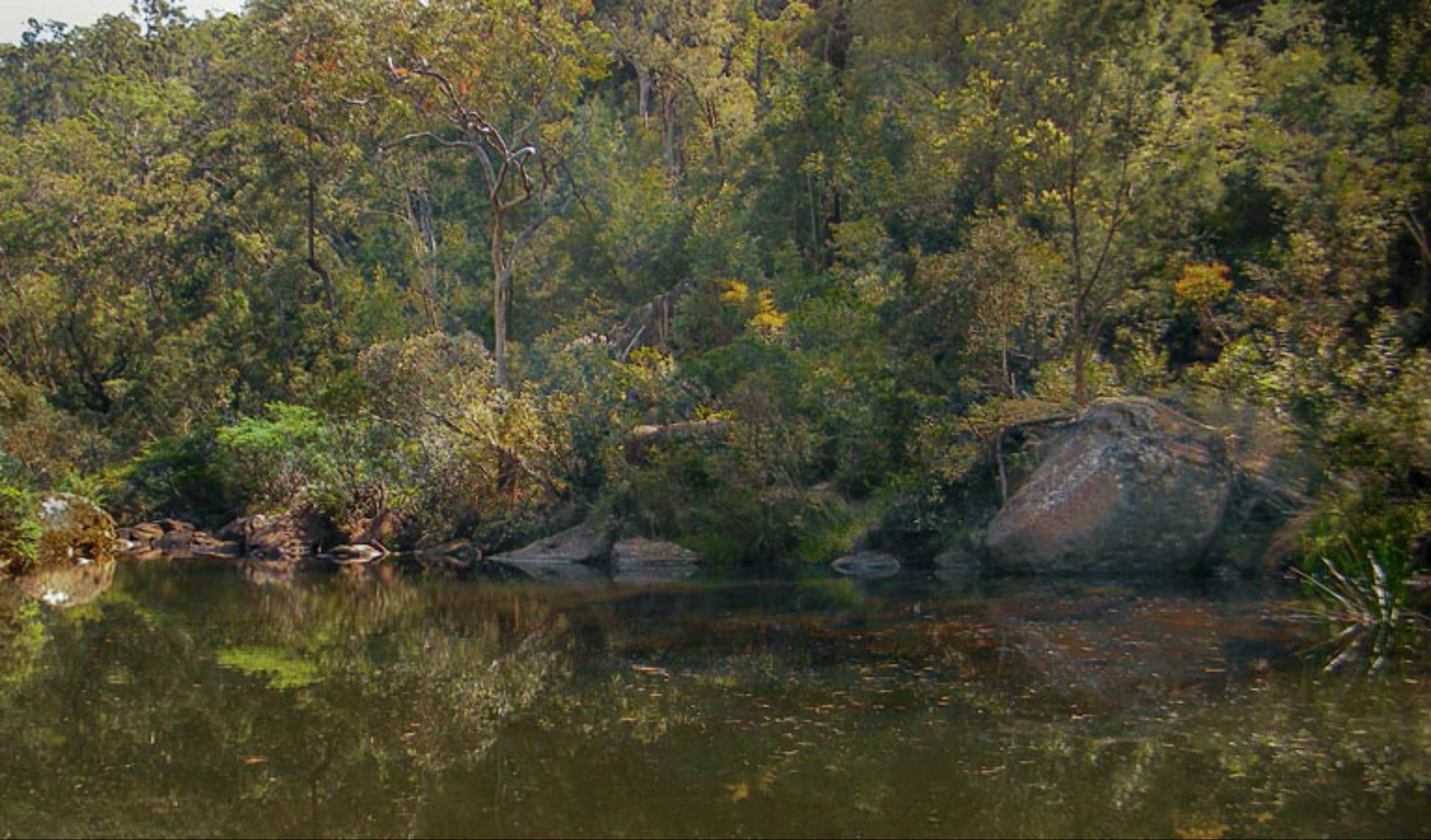 Blue Pool walking track Logo and Images