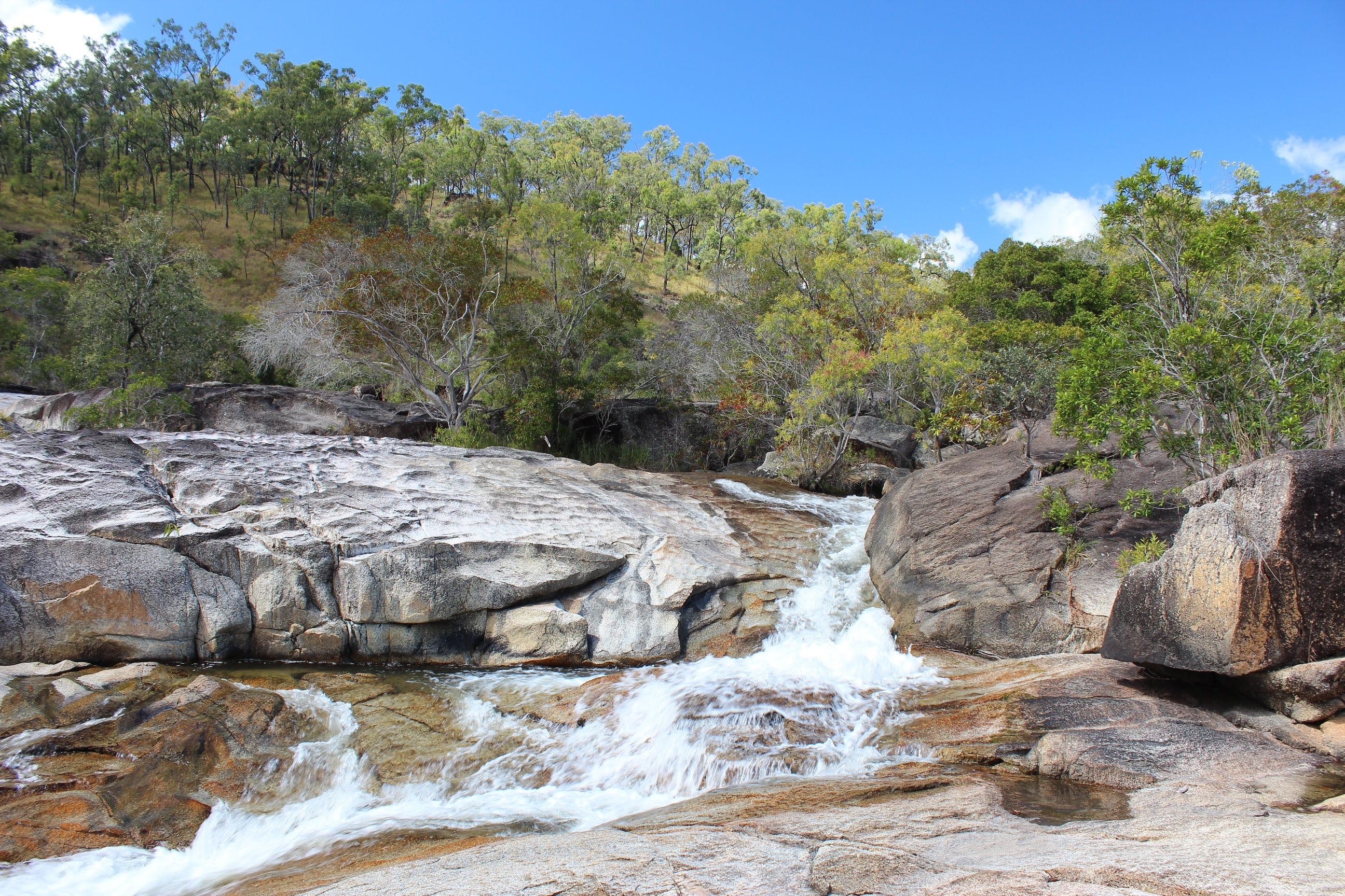 Davies Creek National Park and Dinden National Park Logo and Images