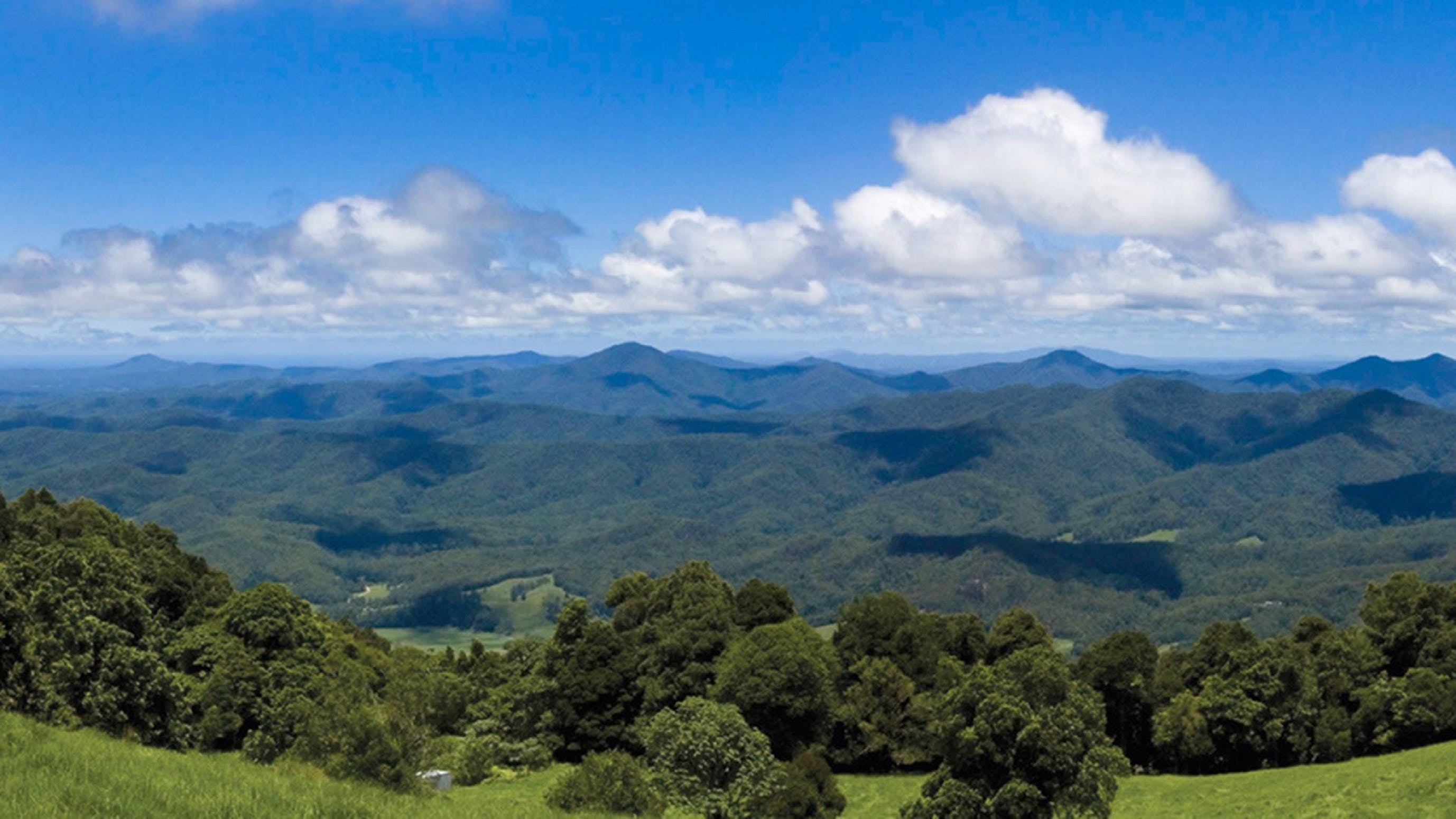 Griffith Lookout Logo and Images