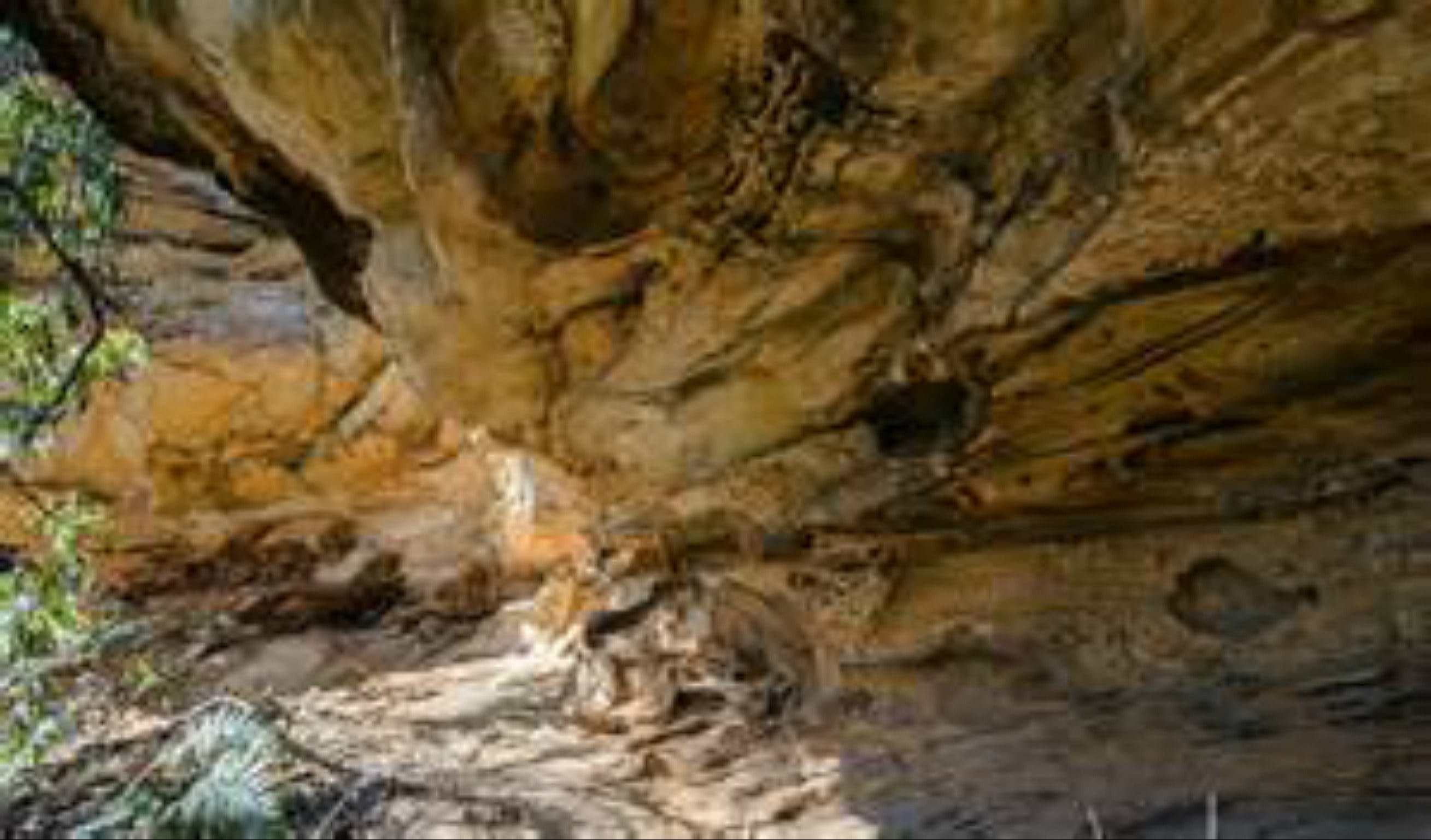 Marramarra National Park Logo and Images