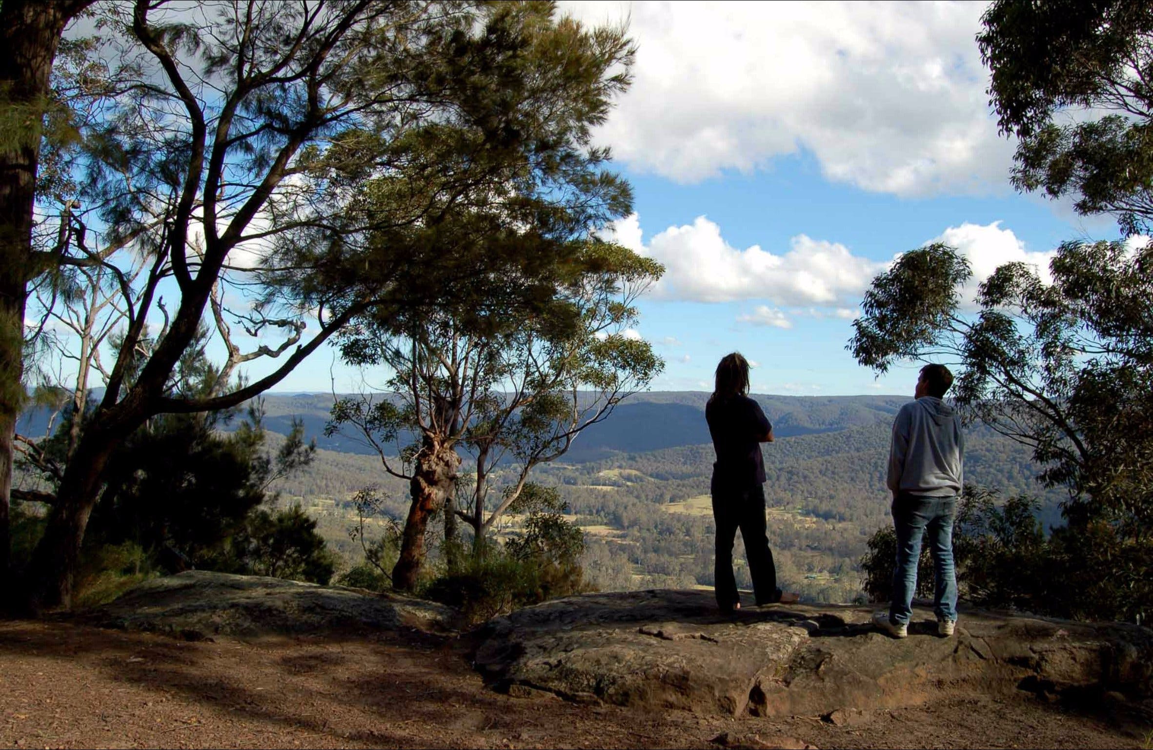 Monkey Face lookout Logo and Images