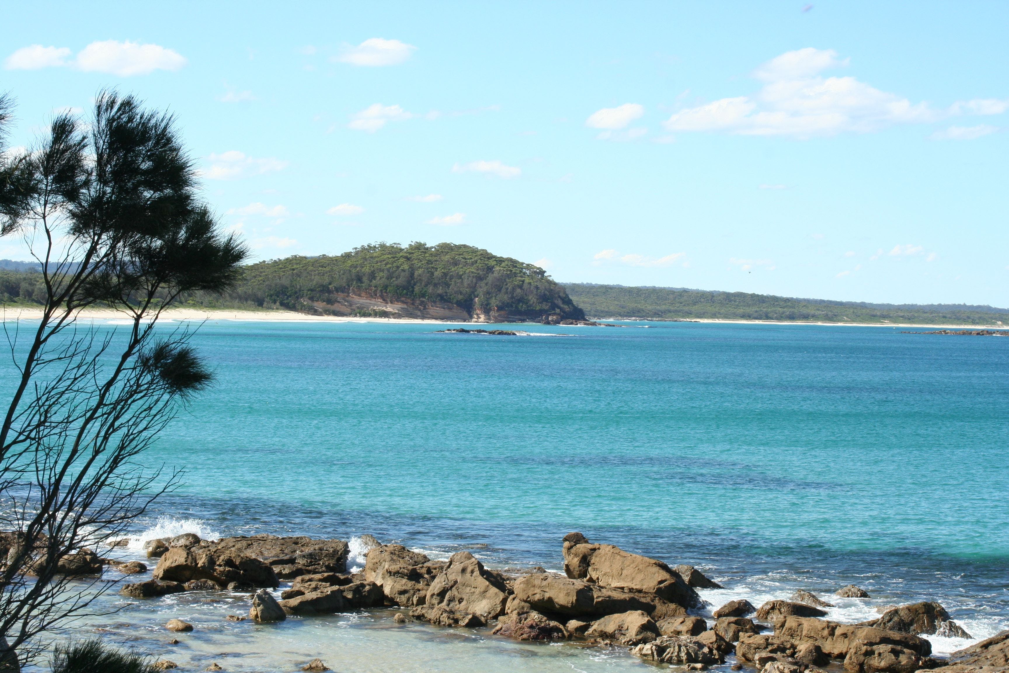 Narrawallee Logo and Images