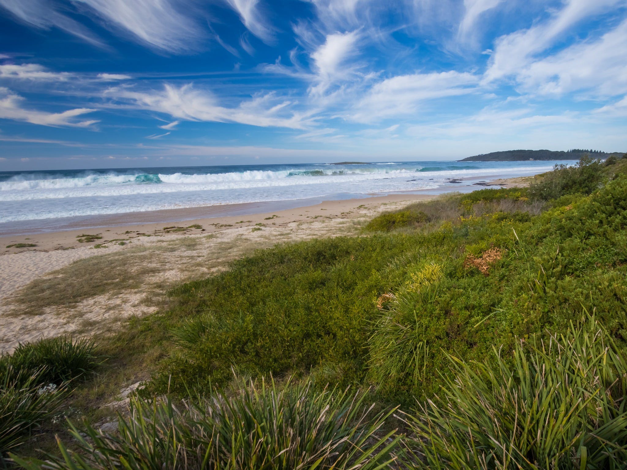 Shelly Beach Logo and Images