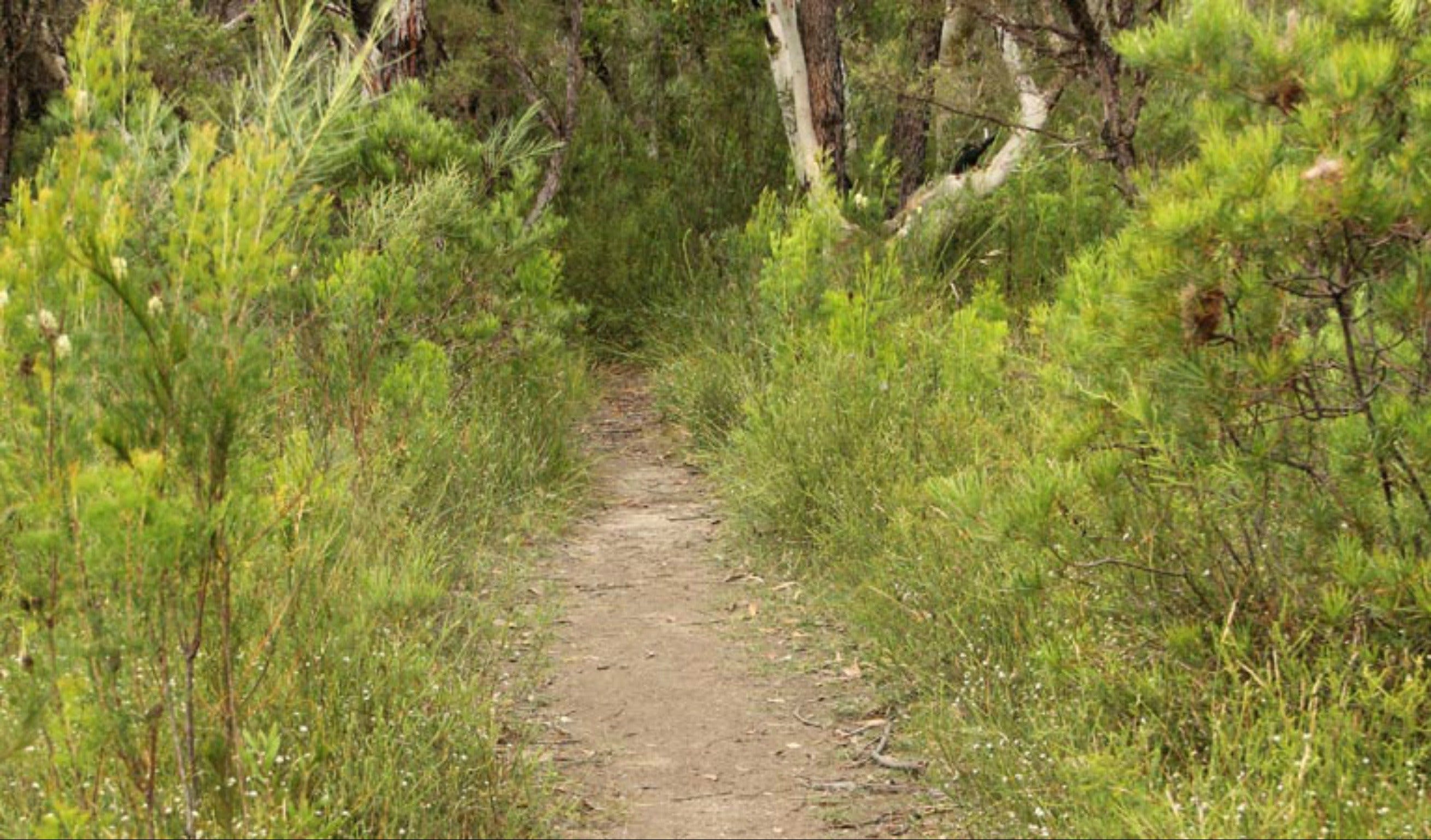 Three Views walking track Logo and Images