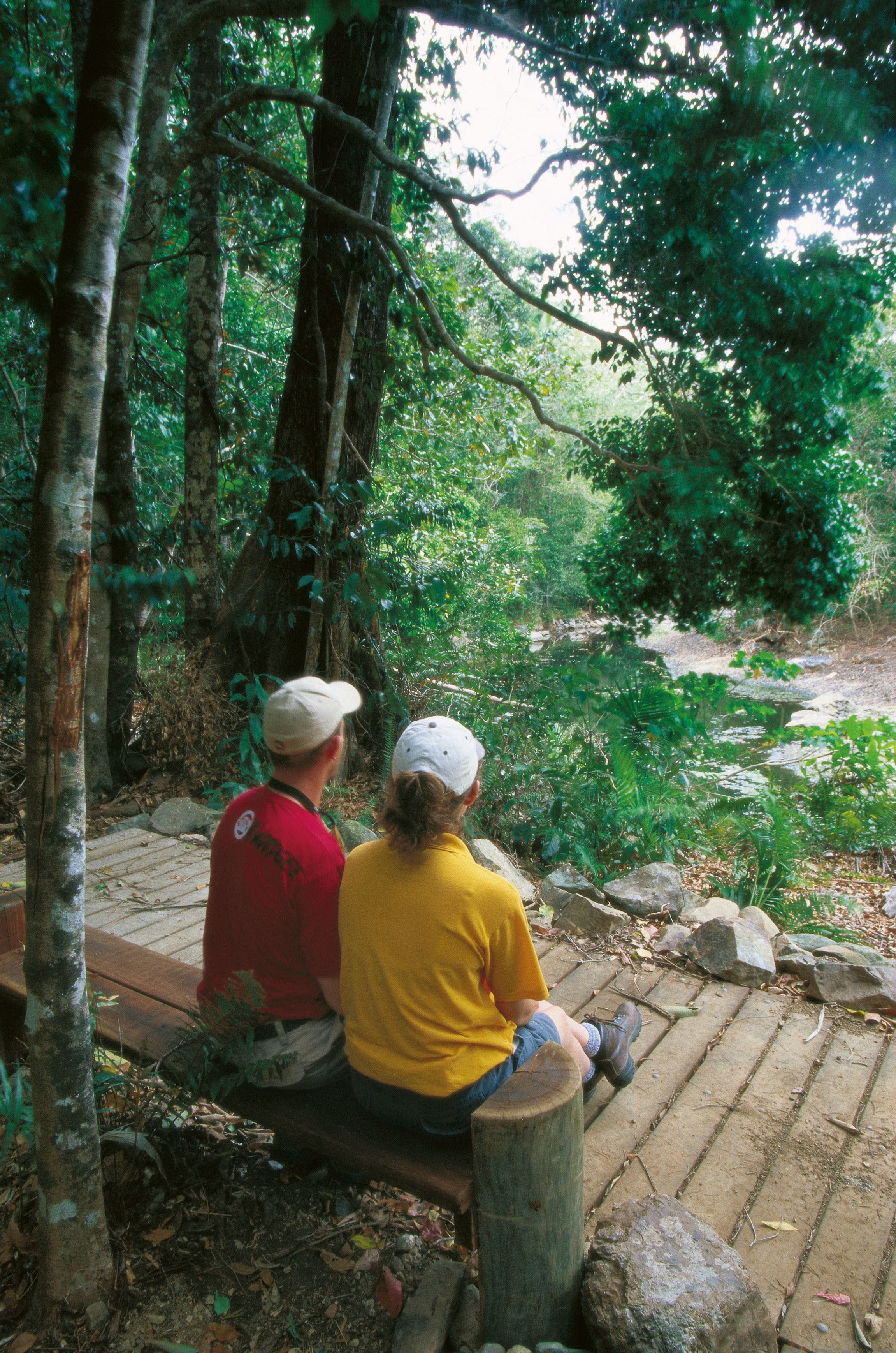 Airlie Beach to Cedar Creek Falls Logo and Images