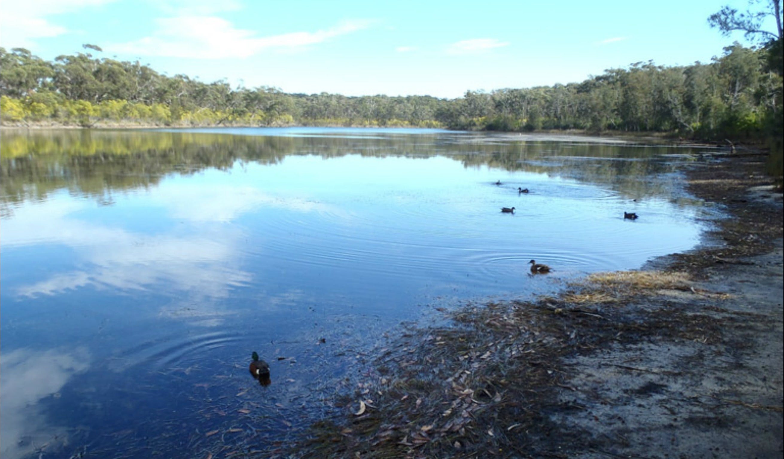 Berrara Creek Logo and Images