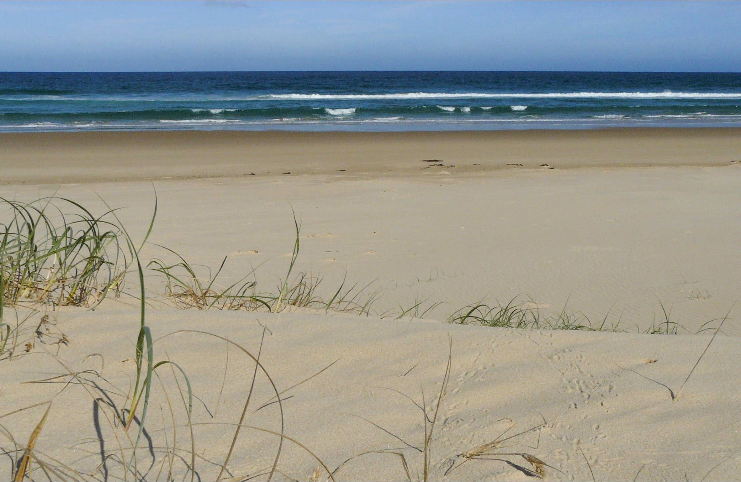 Bongil Beach Logo and Images