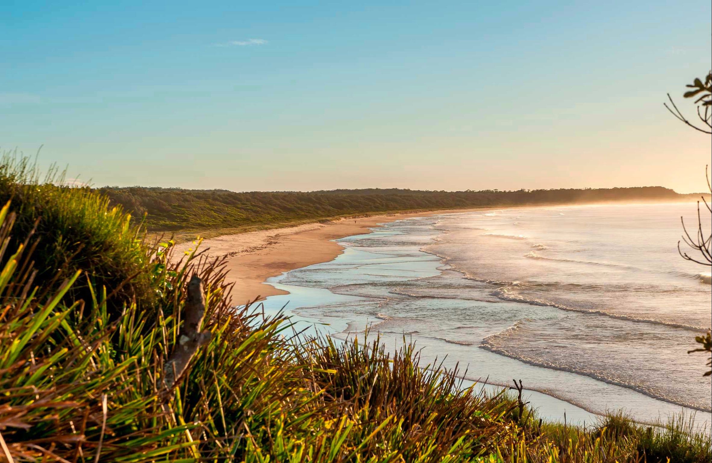 Burrawang Track - Conjola Beach to Buckleys Point Logo and Images