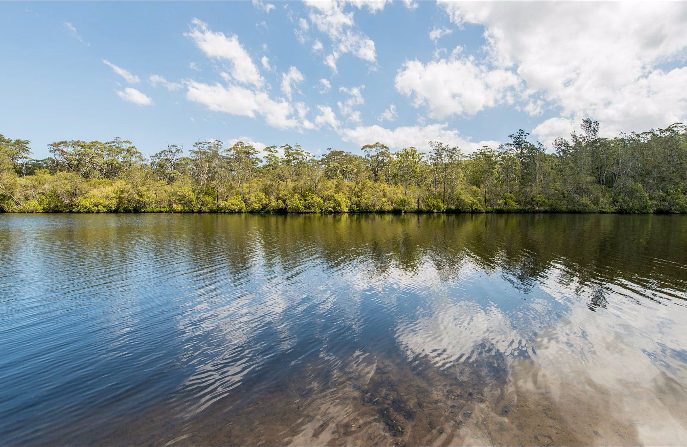 Cockatoo picnic area Logo and Images