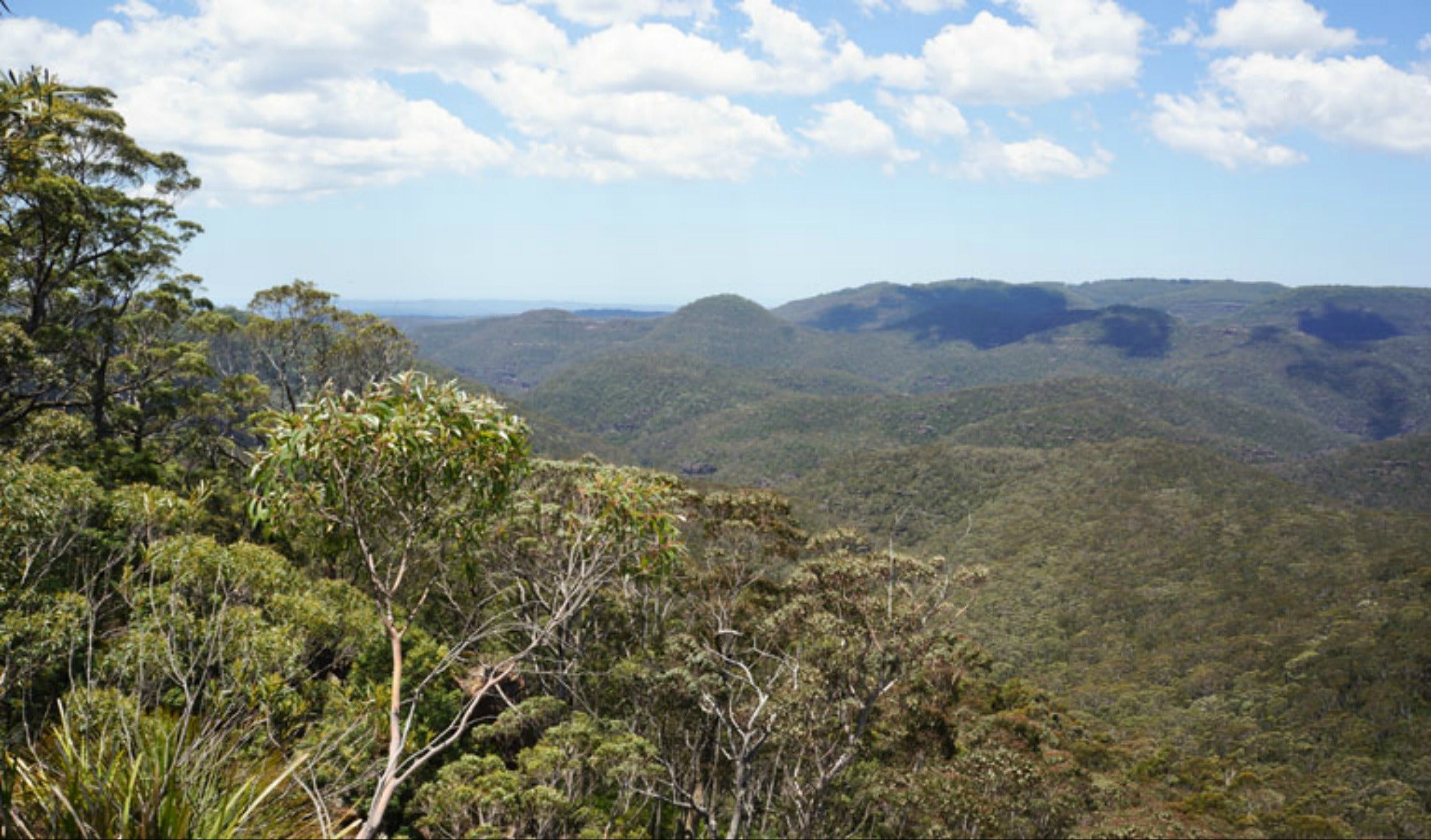 Greater Blue Mountains drive Logo and Images