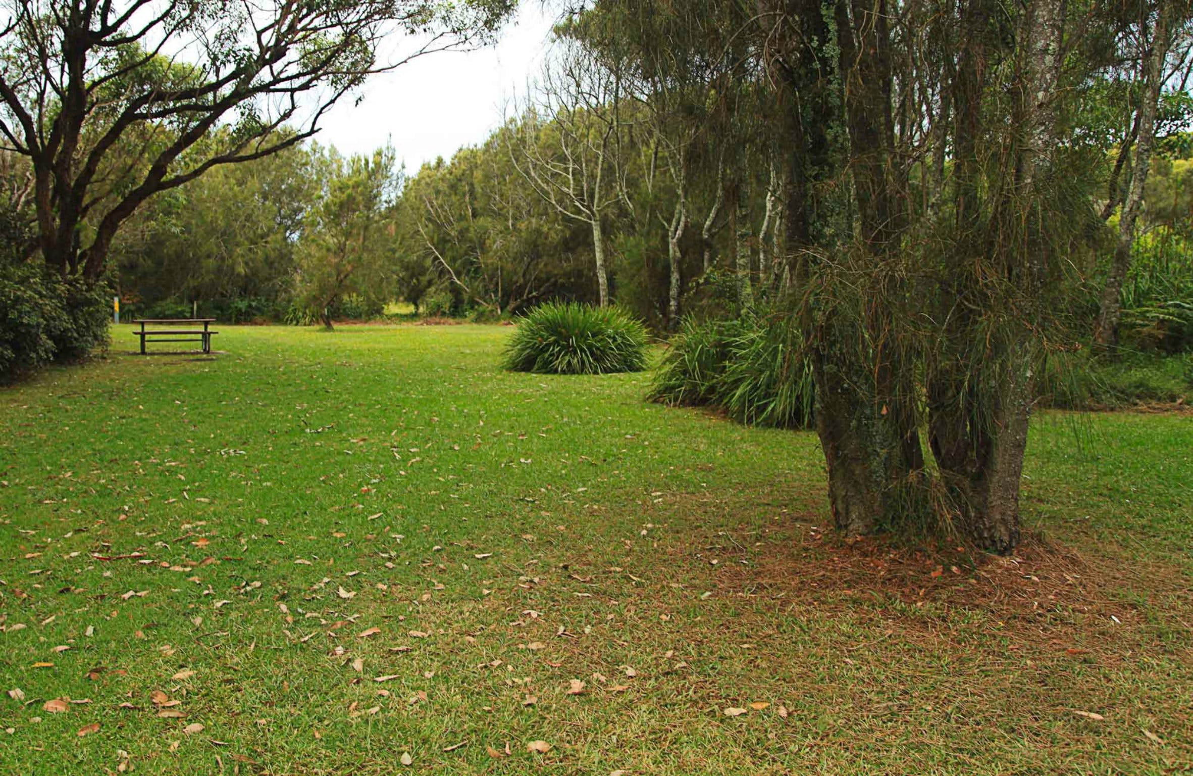 Hammerhead Point Picnic Area Logo and Images