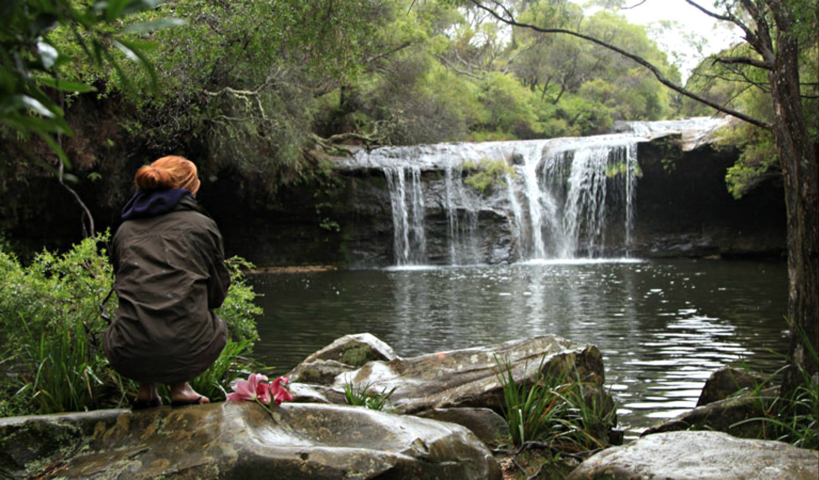 Nellies Glen Picnic Area Logo and Images