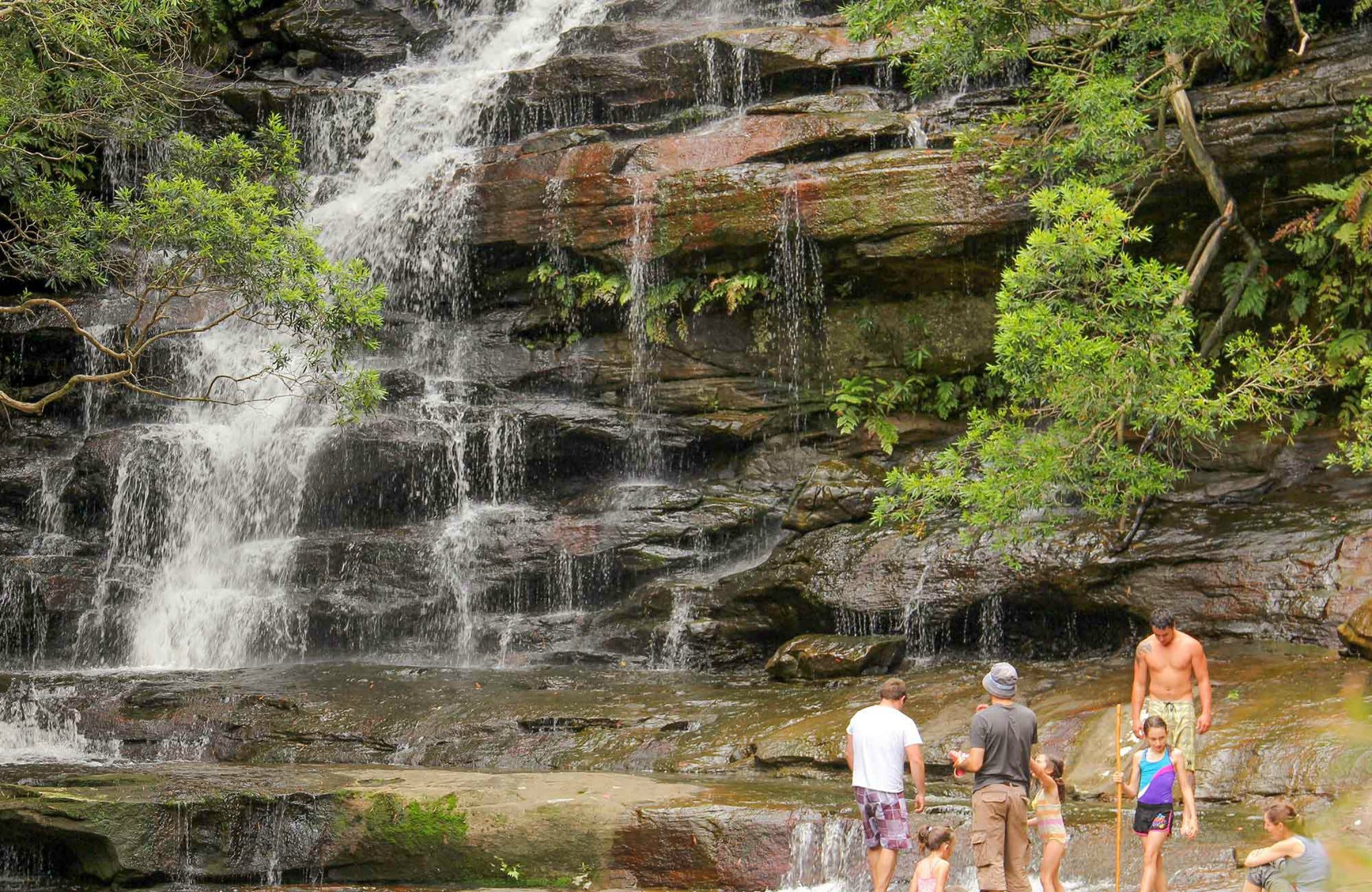 Somersby Falls Picnic Area Logo and Images