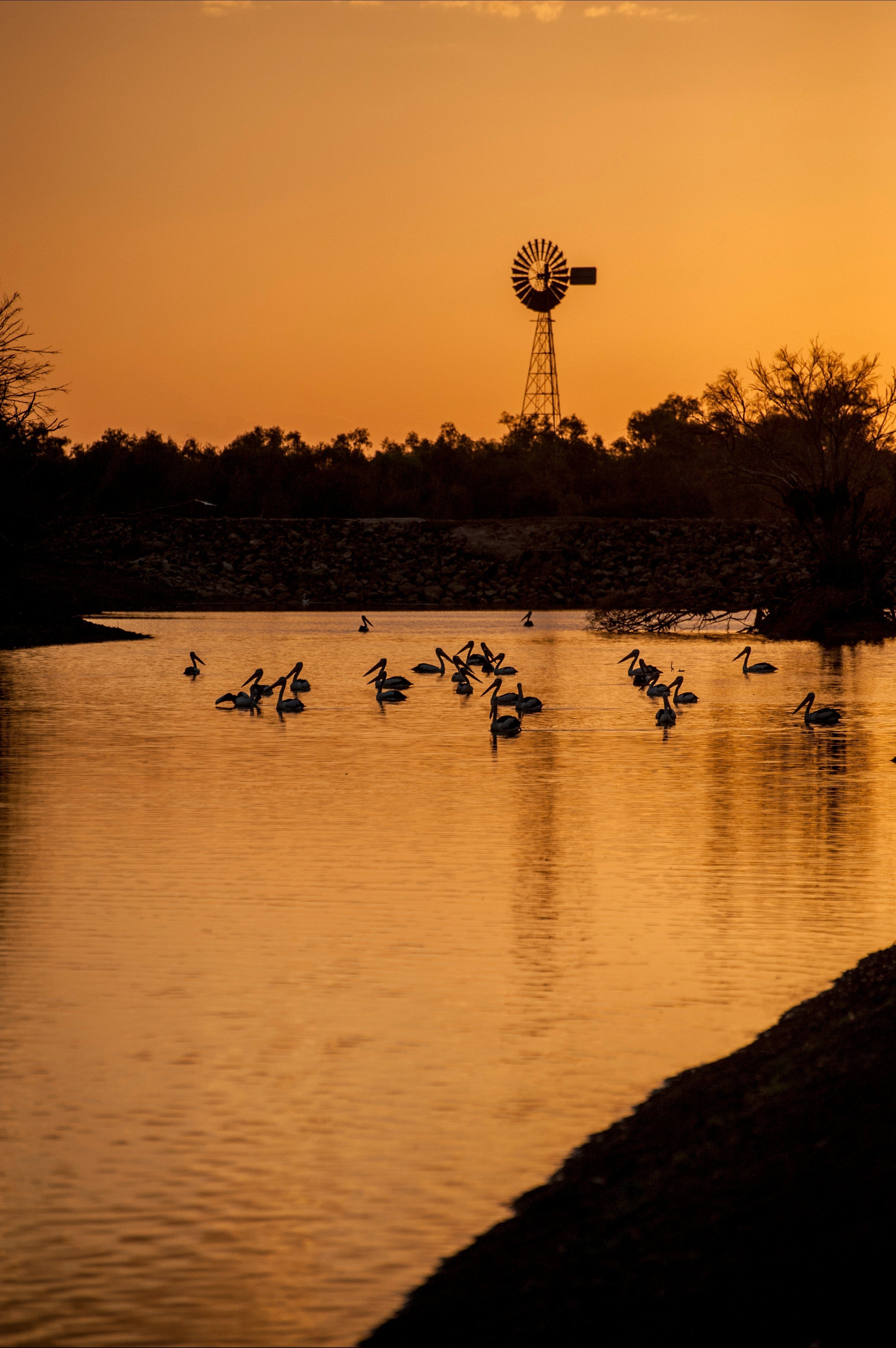 Thomson River, Longreach Logo and Images