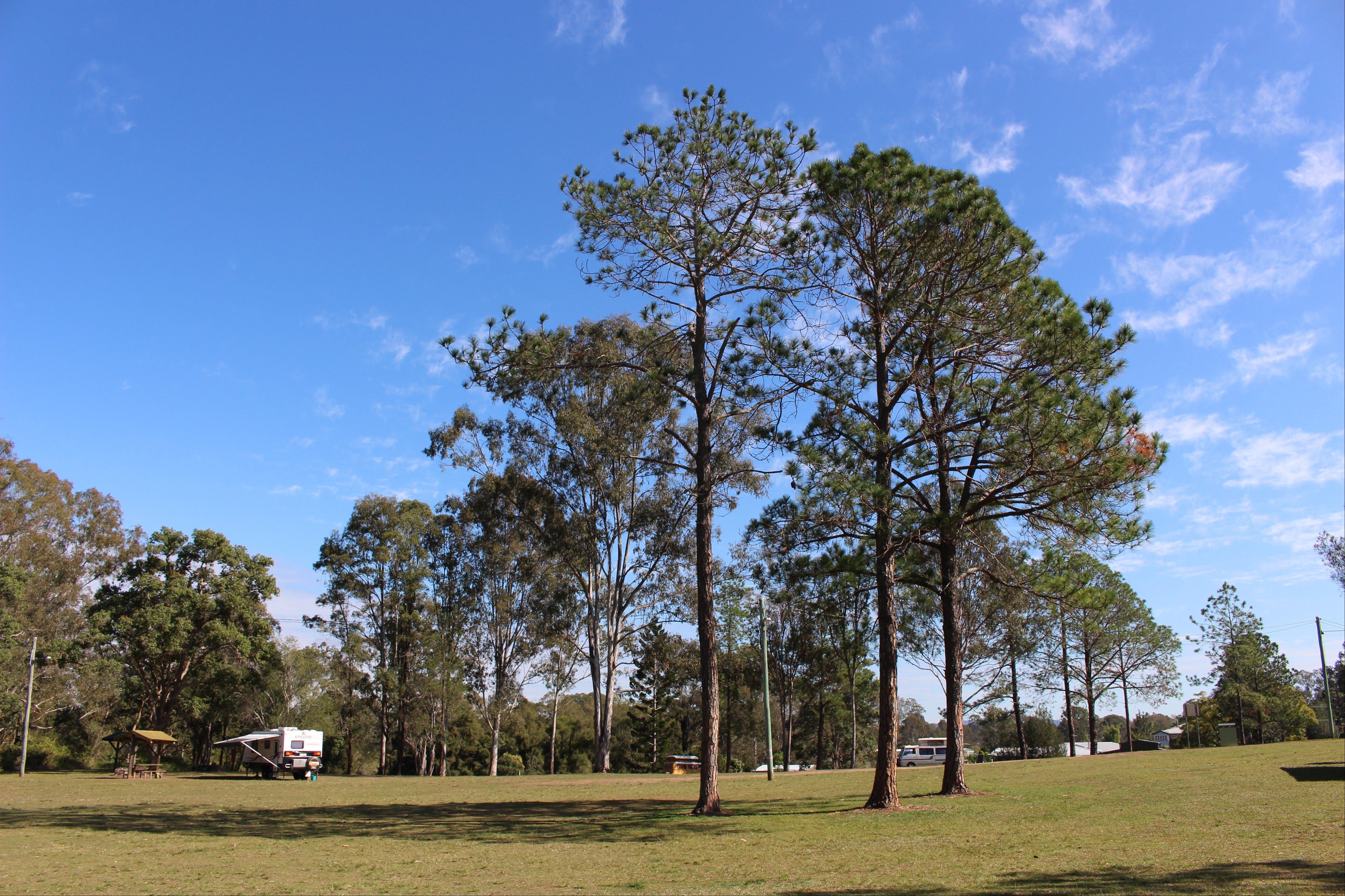Tully Memorial Park Logo and Images