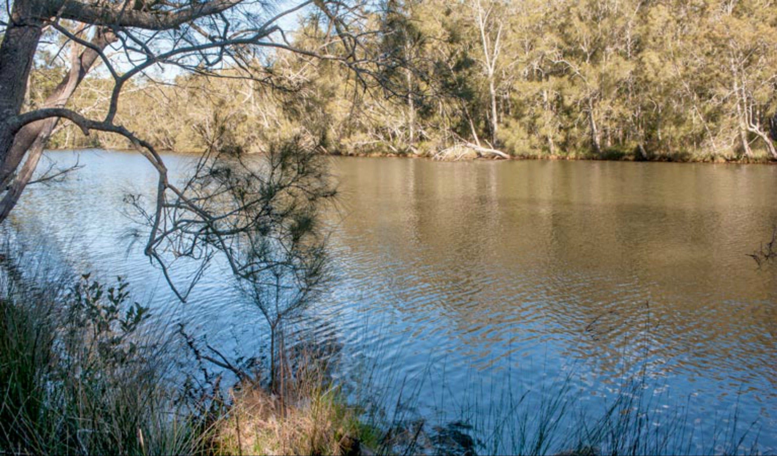 Wandandian Creek picnic area Logo and Images