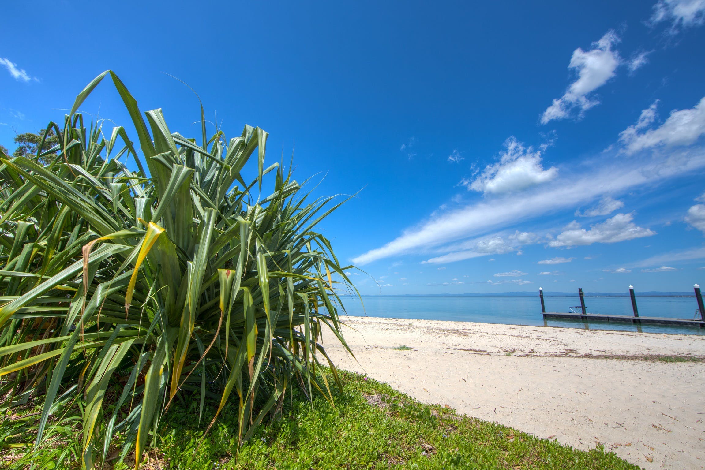 Bongaree Walkabout Logo and Images