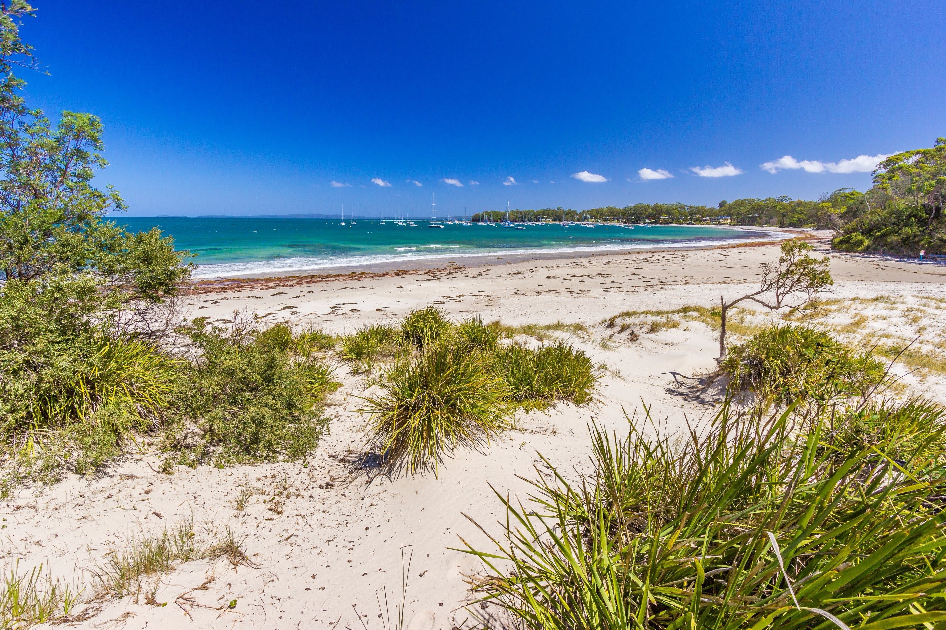 Callala Bay Logo and Images