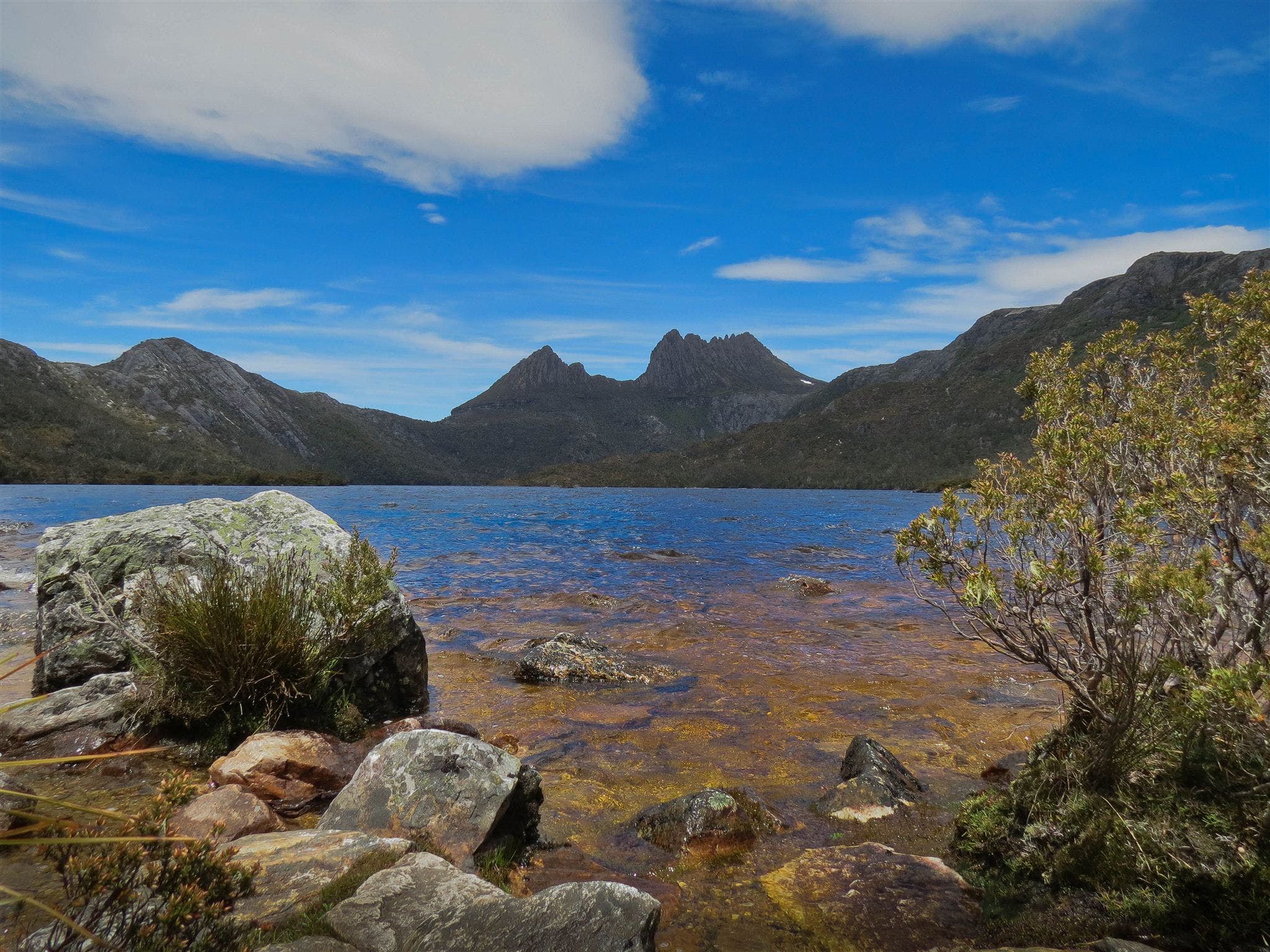 Dove Lake Logo and Images