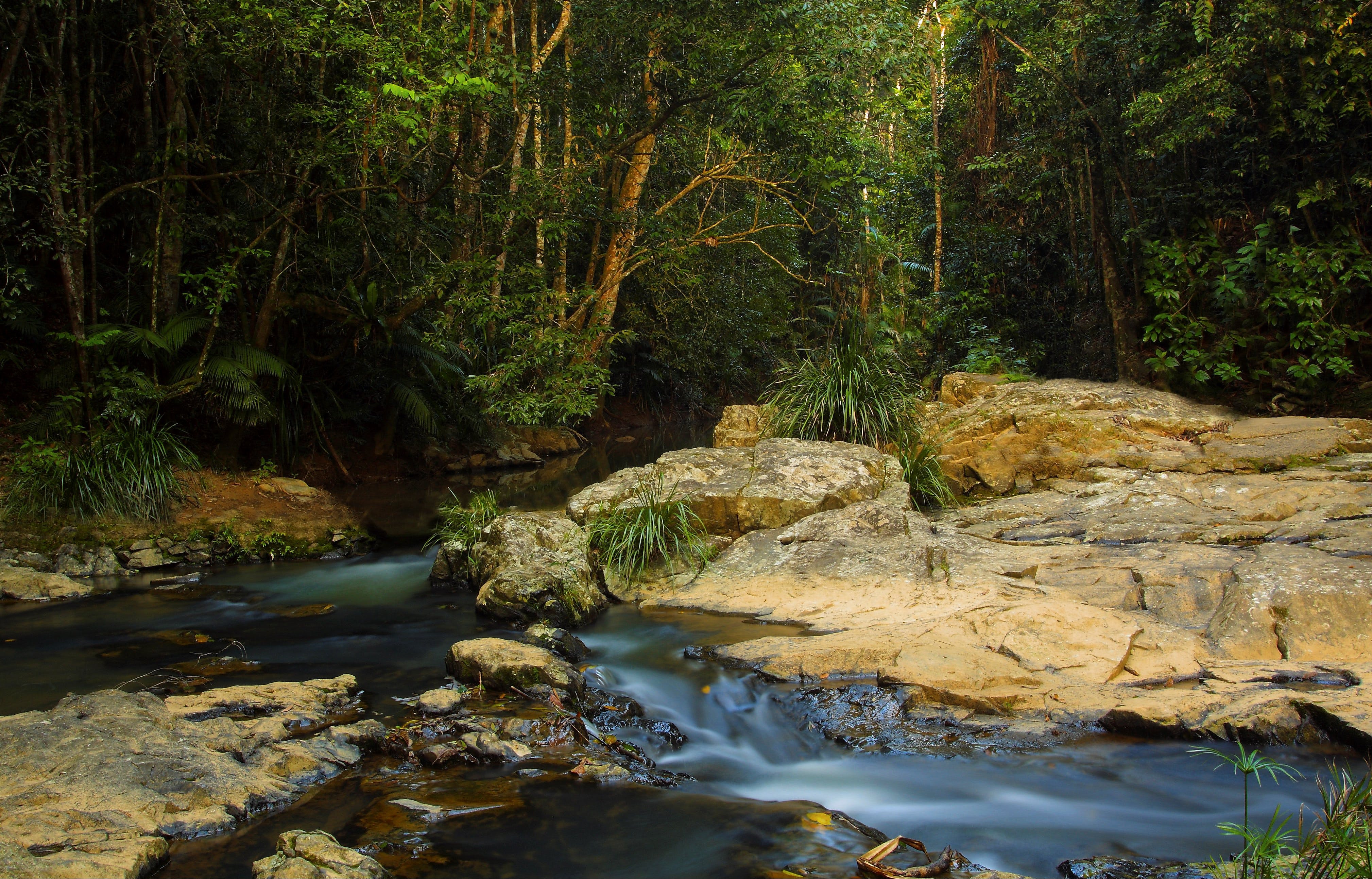 Jumrum Creek Walk, Jumrum Creek Conservation Park Logo and Images