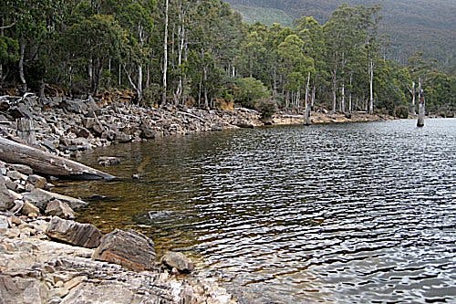 Lake Rowallan Logo and Images