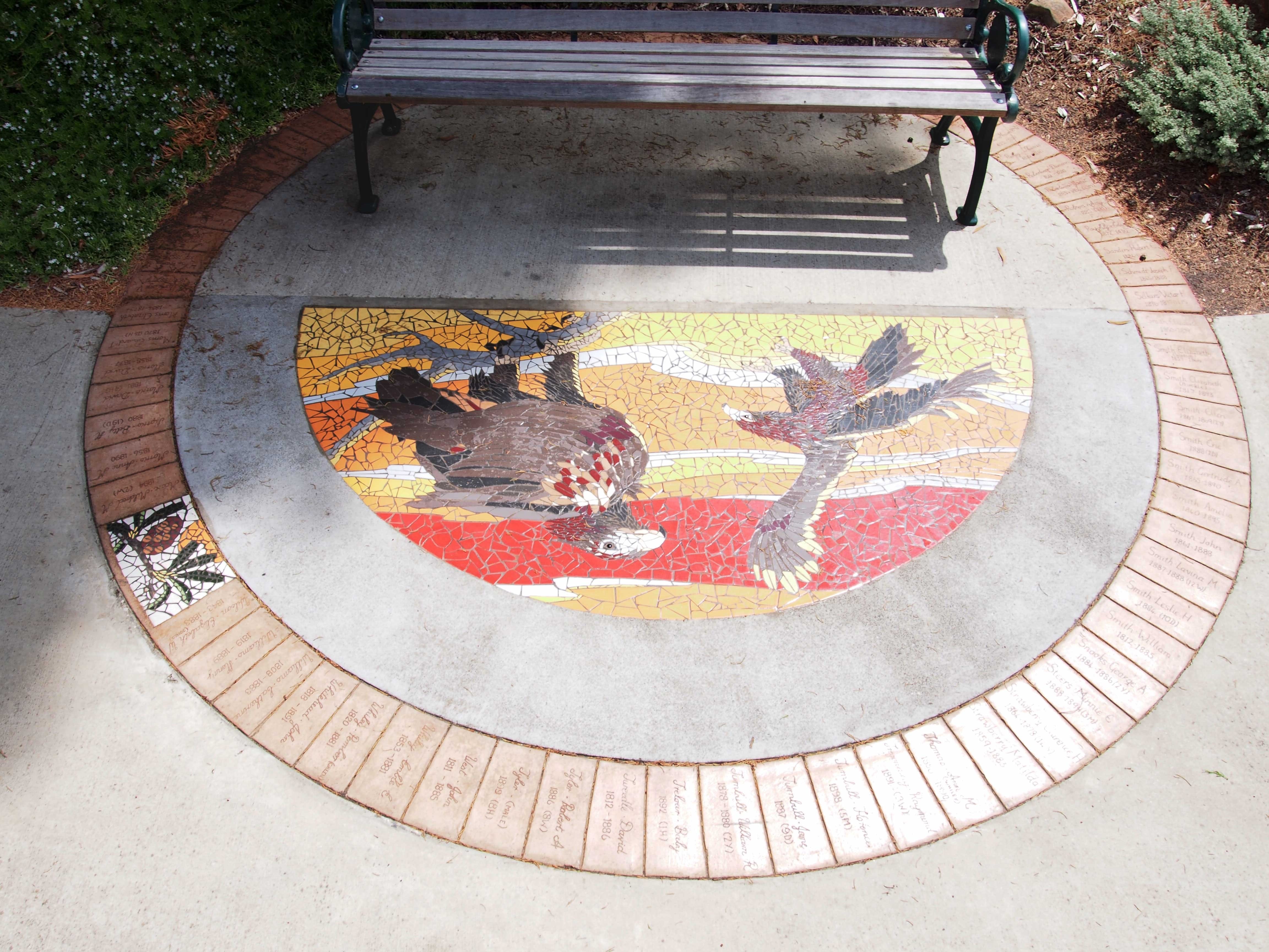 Mosaic Pathway (WASS) Logo and Images