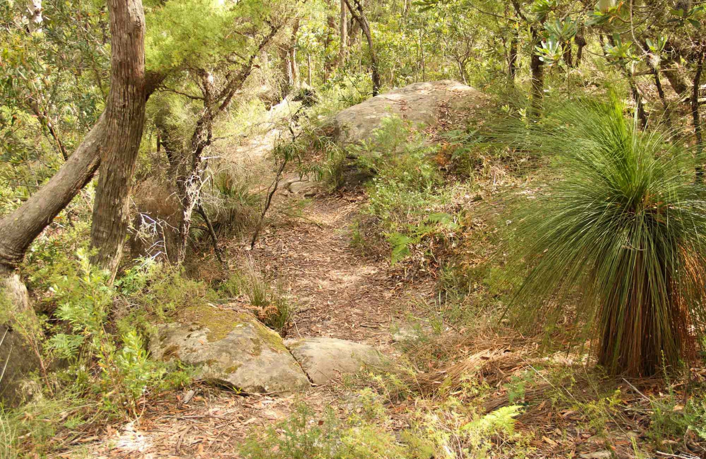 Mount Carnarvon Walking Track Logo and Images