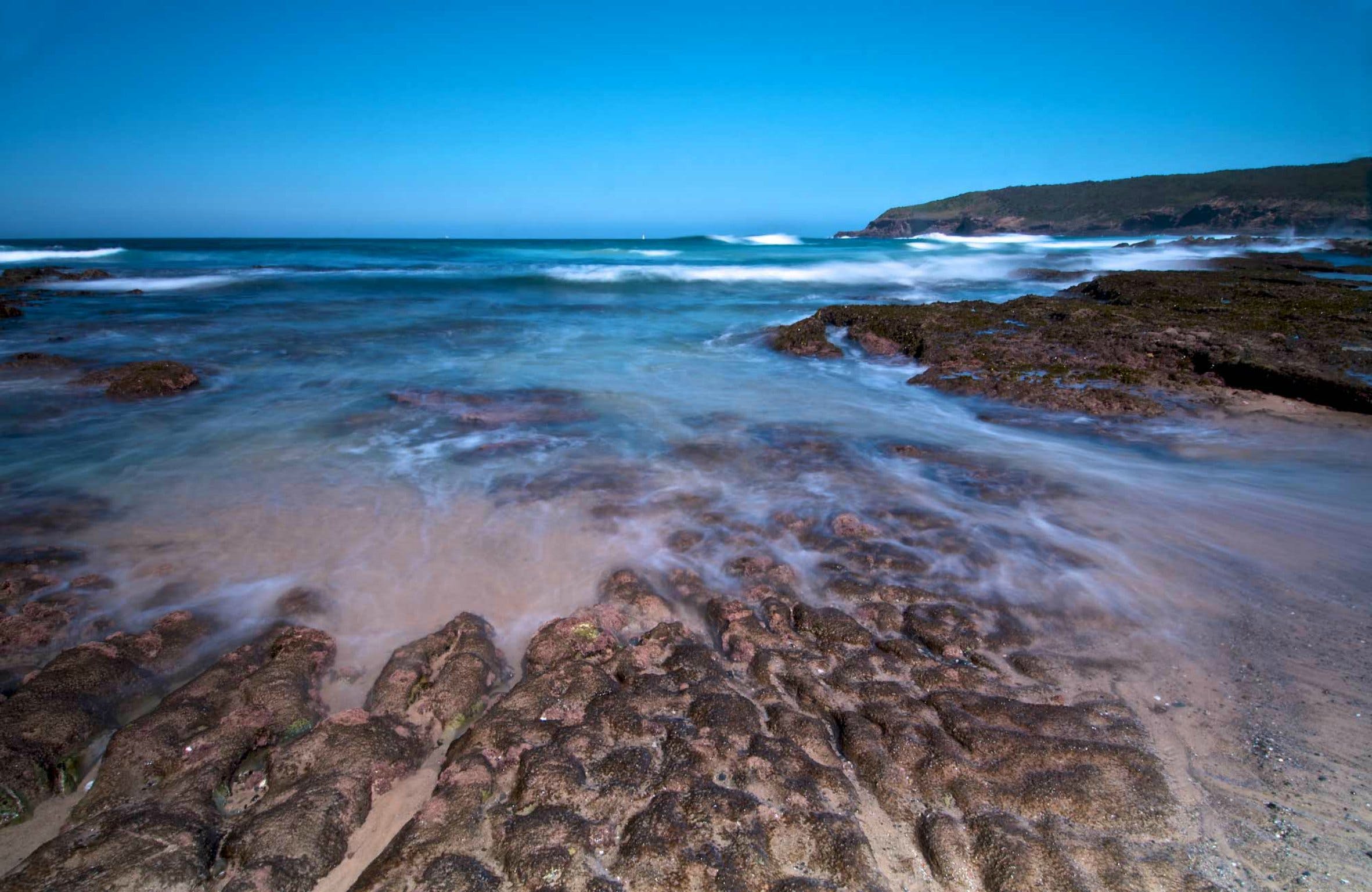 Munmorah State Conservation Area Logo and Images