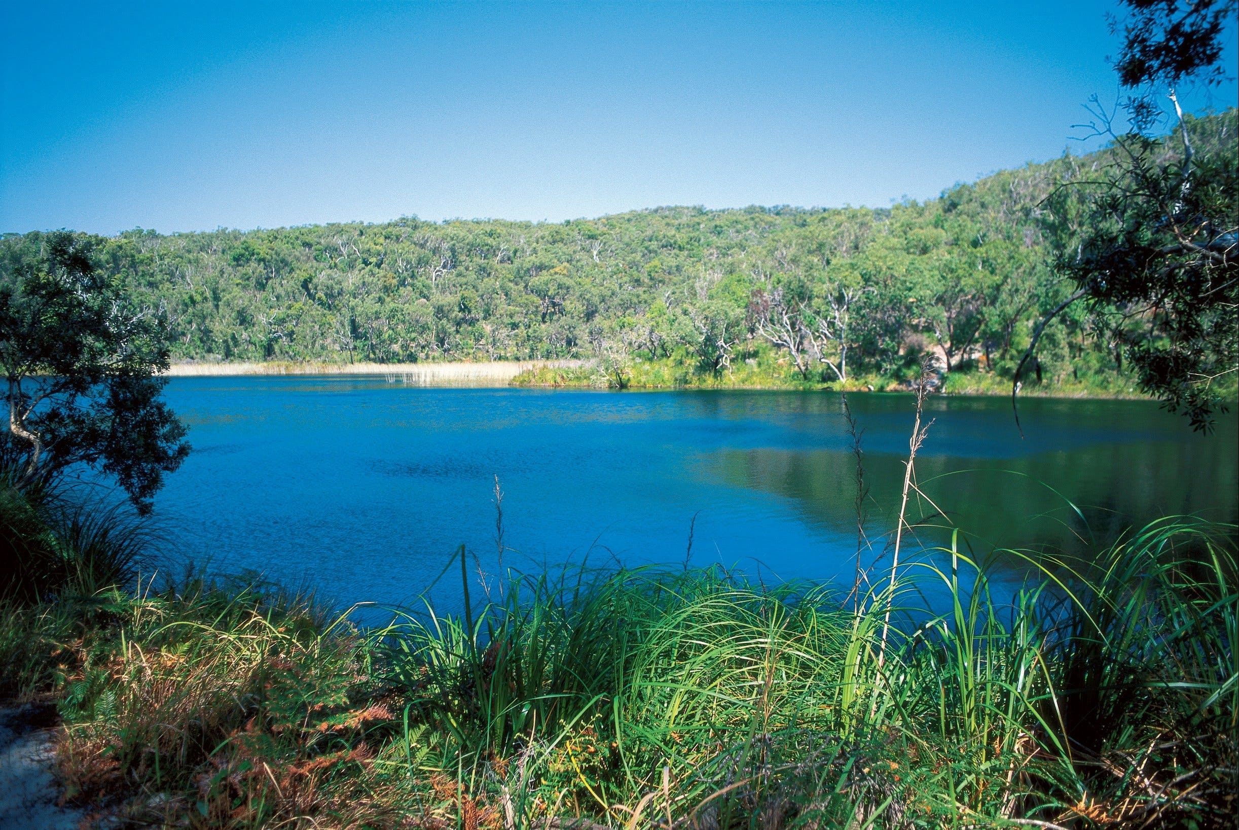 Naree Budjong Djara National Park Logo and Images