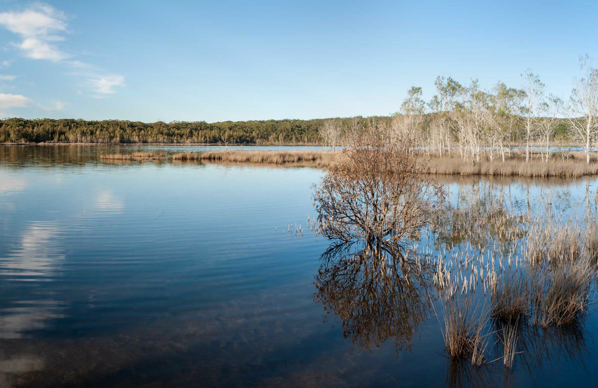 Pattimores Lagoon Logo and Images