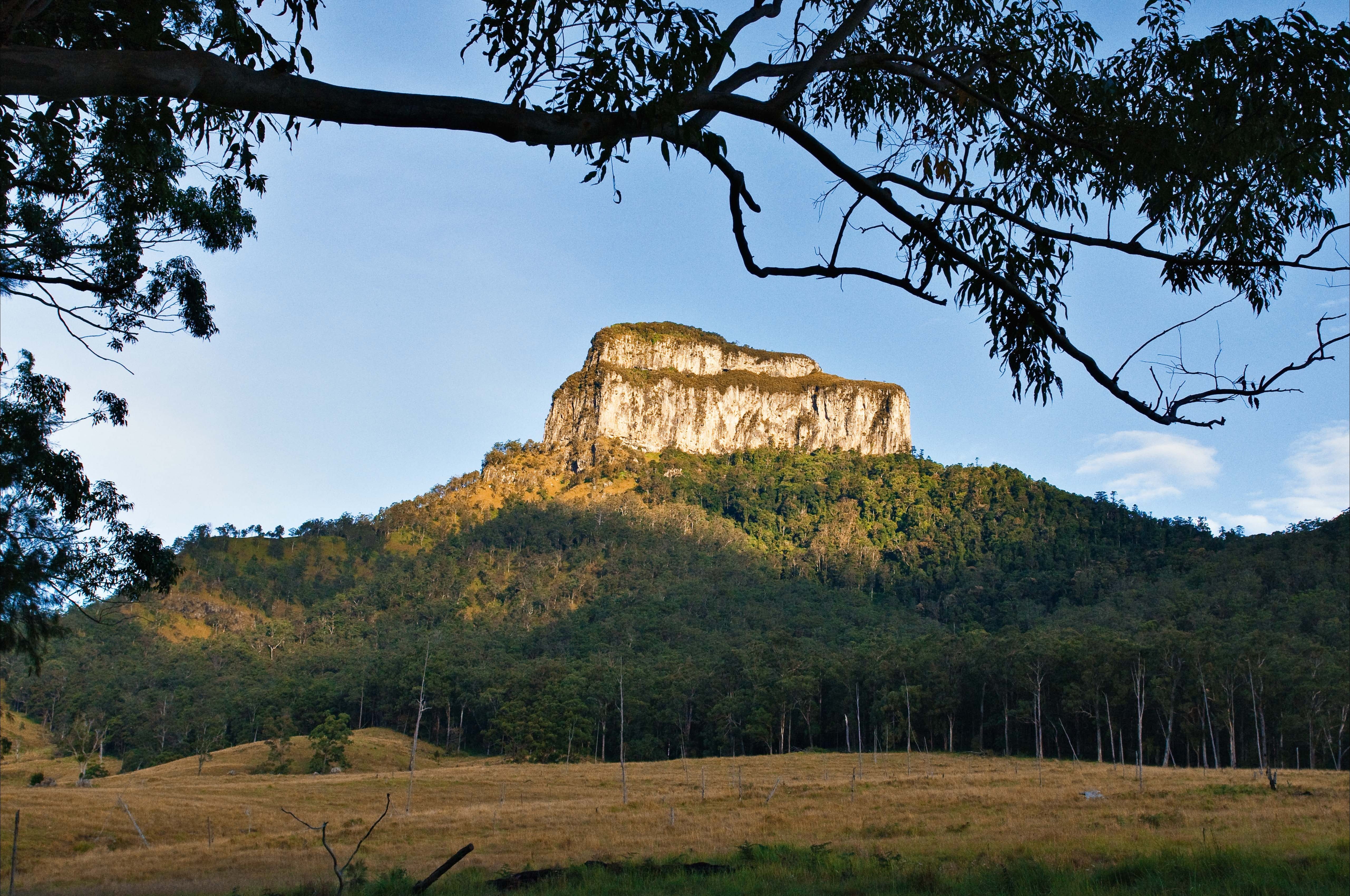 The Scenic Rim Way Logo and Images