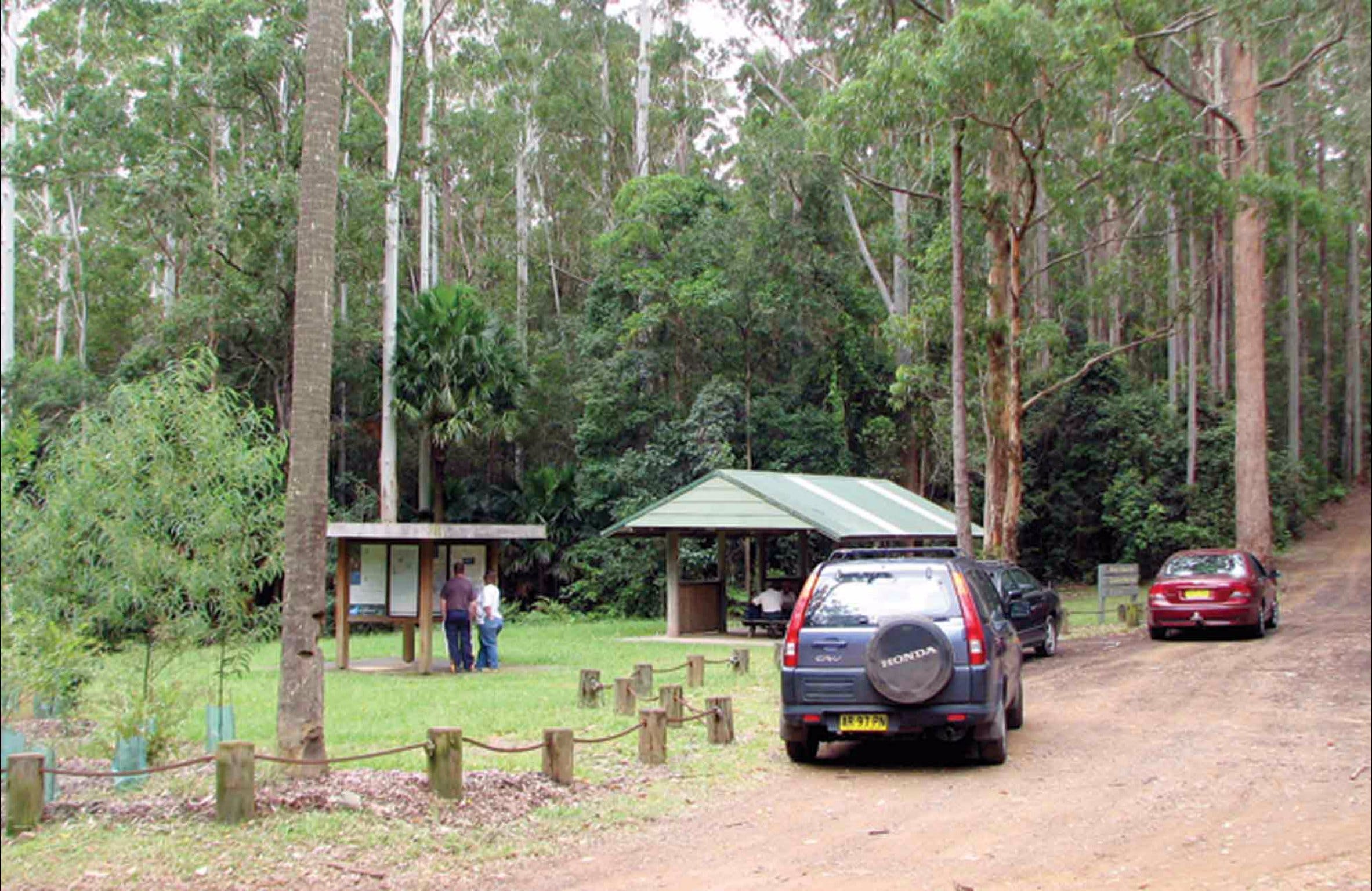Wallingat Forest Drive Logo and Images