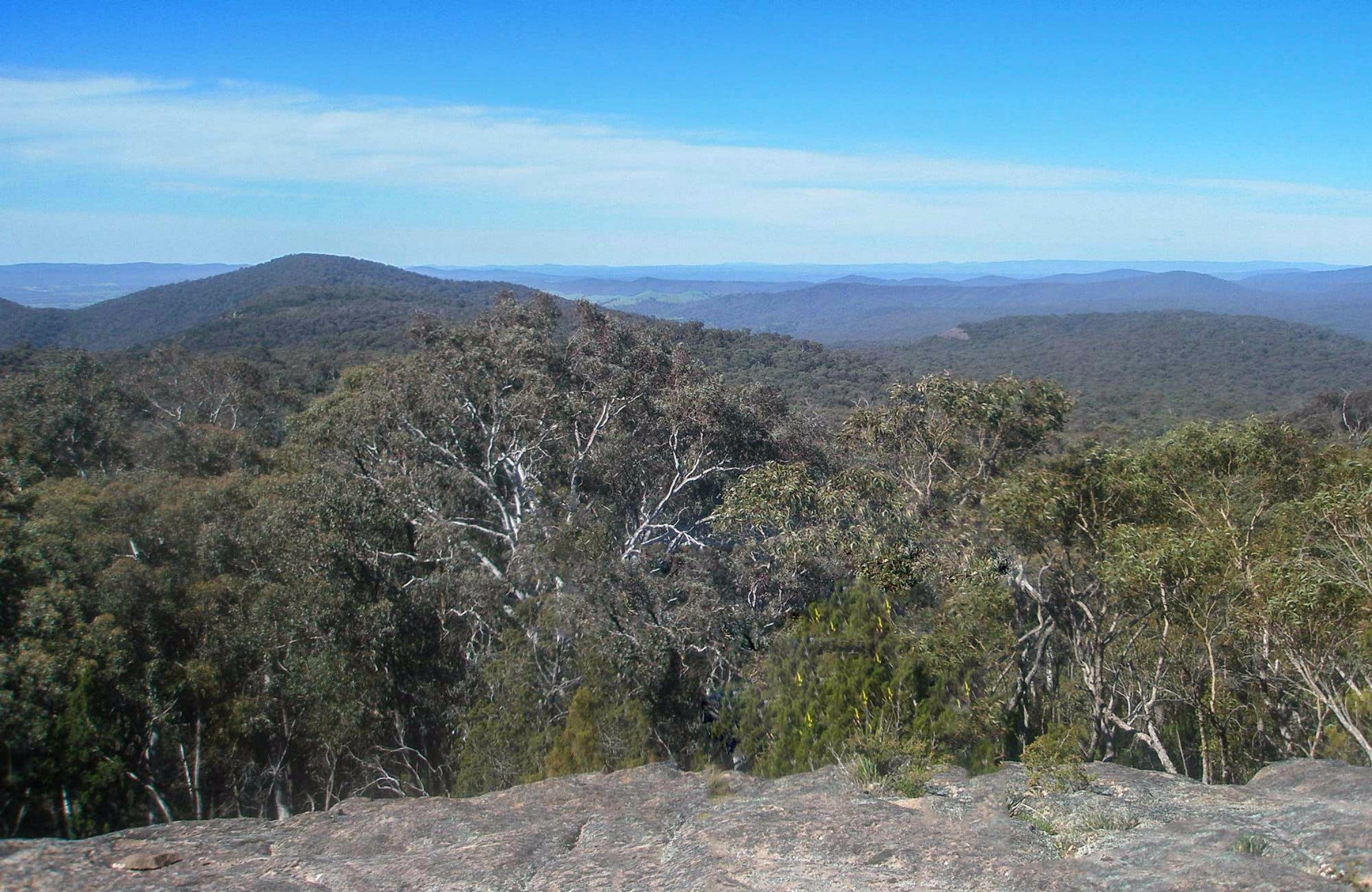 Woomargama National Park Logo and Images