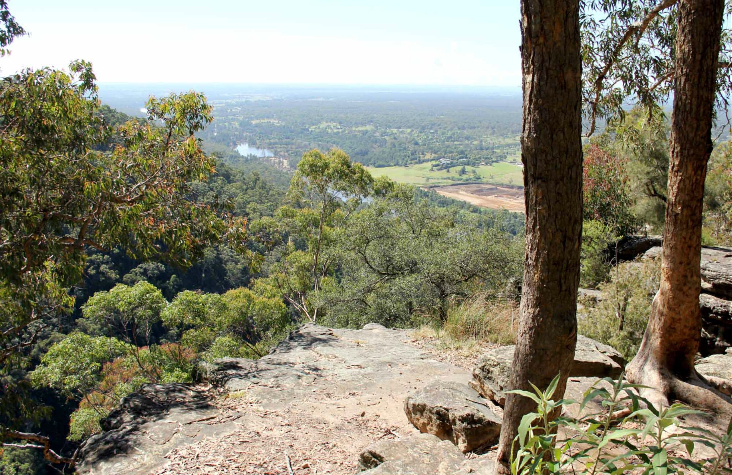 Yellow Rock Lookout Logo and Images