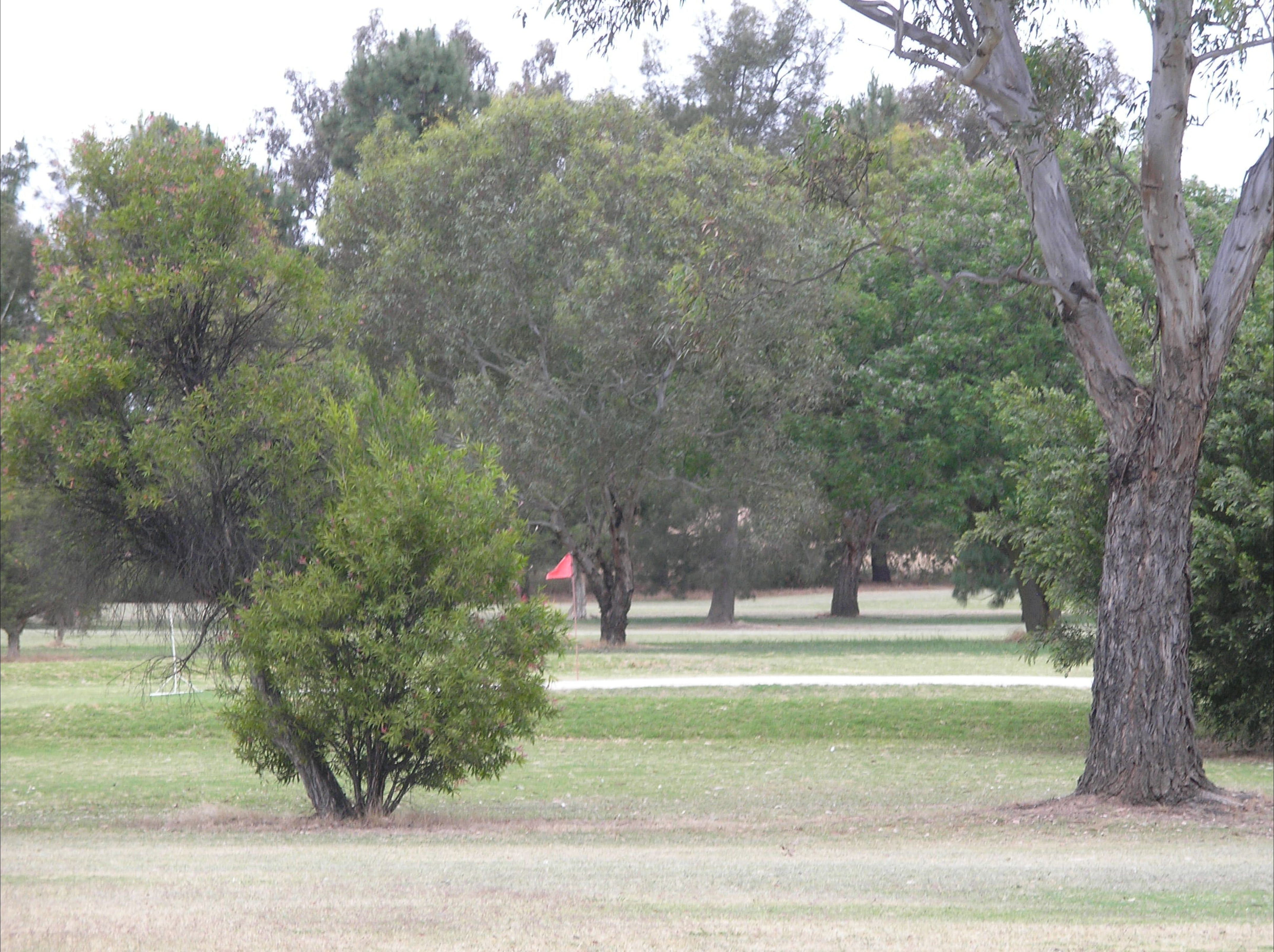 Holbrook Golf Course Logo and Images