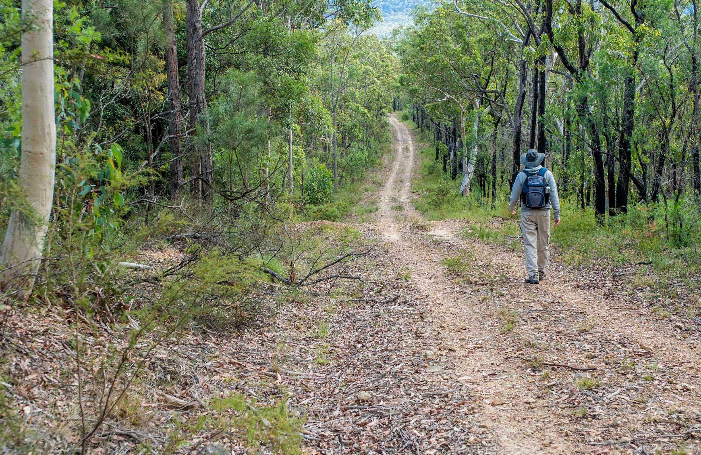 Kangaroo River Walking Track Logo and Images