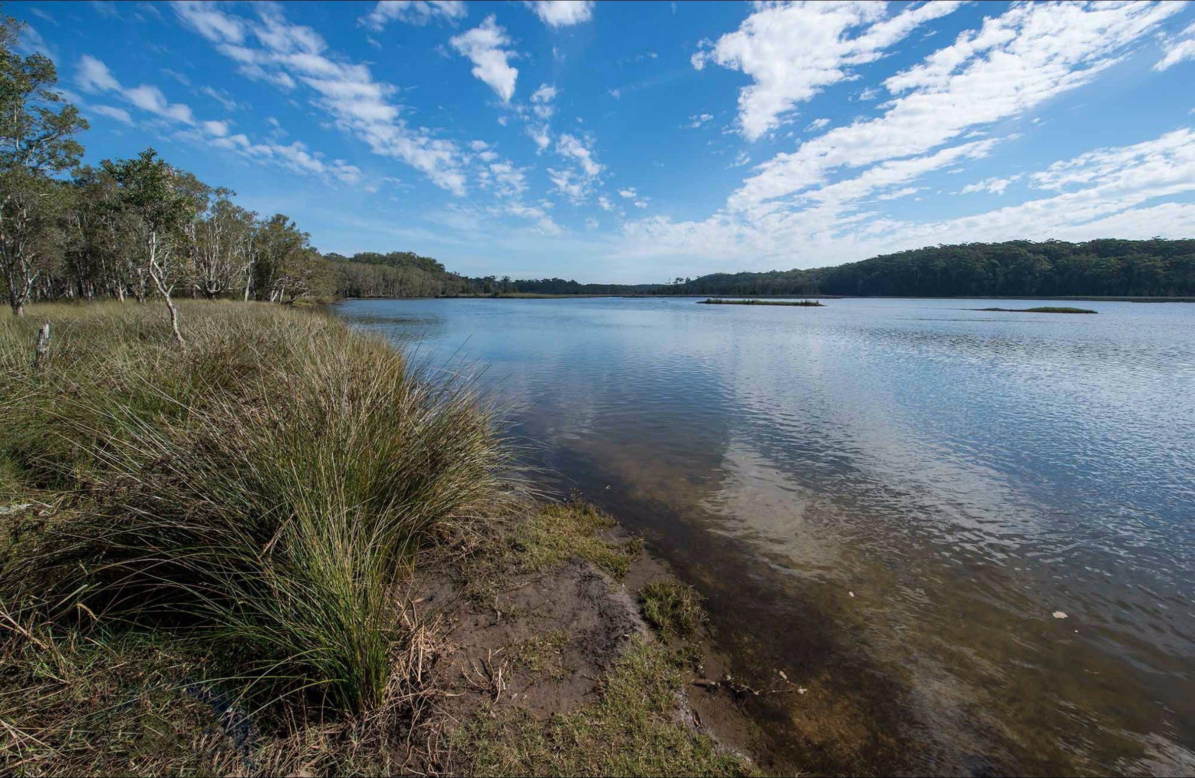 Lake Innes Nature Reserve Logo and Images