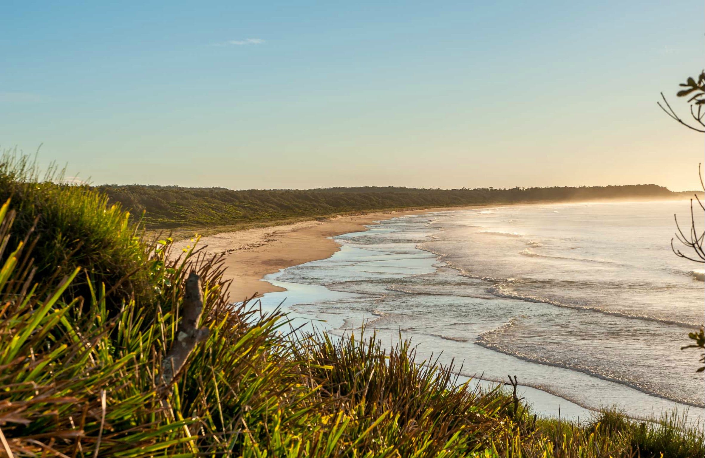 Narrawallee Creek Nature Reserve Logo and Images