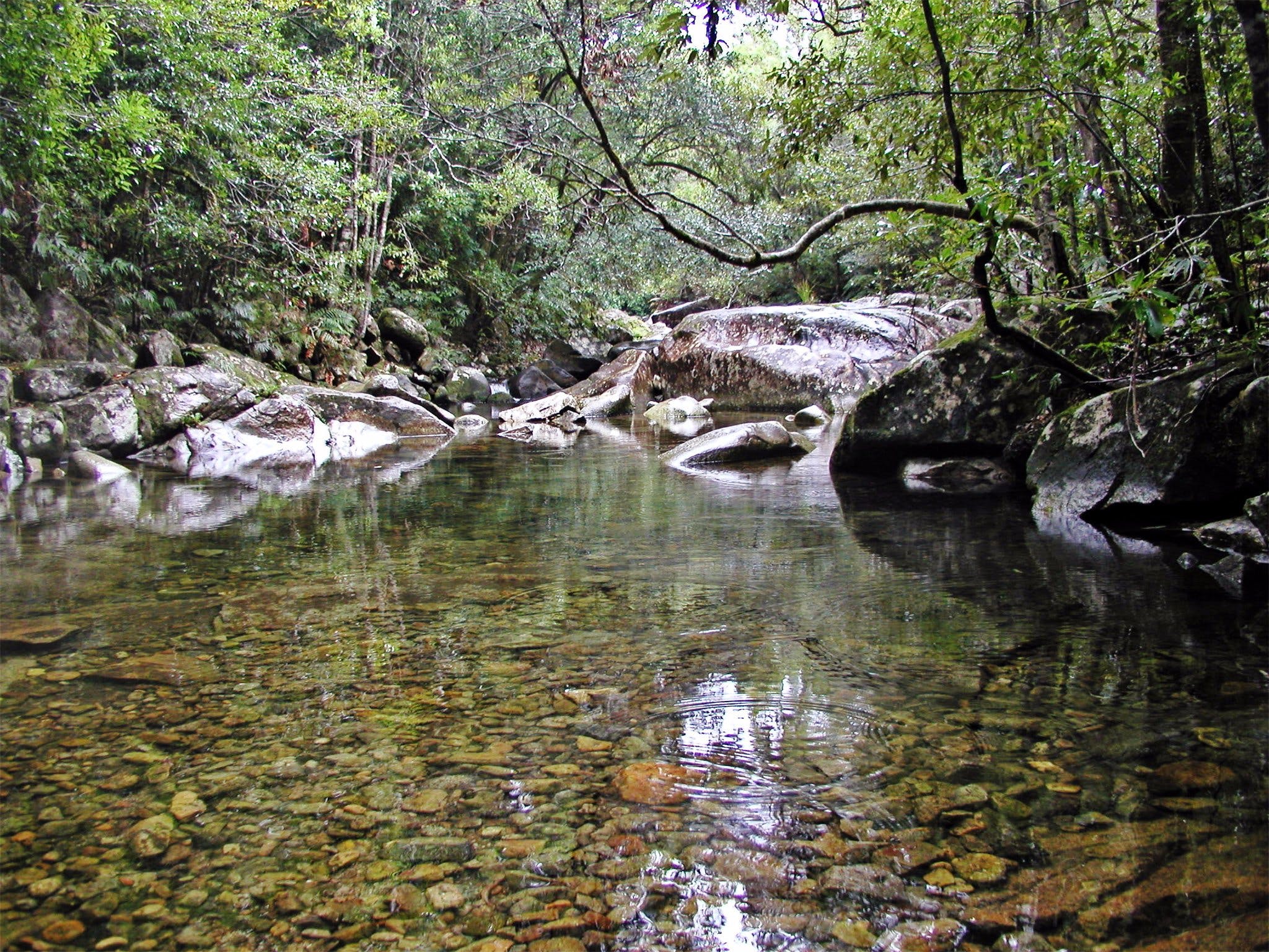 Orara River Logo and Images
